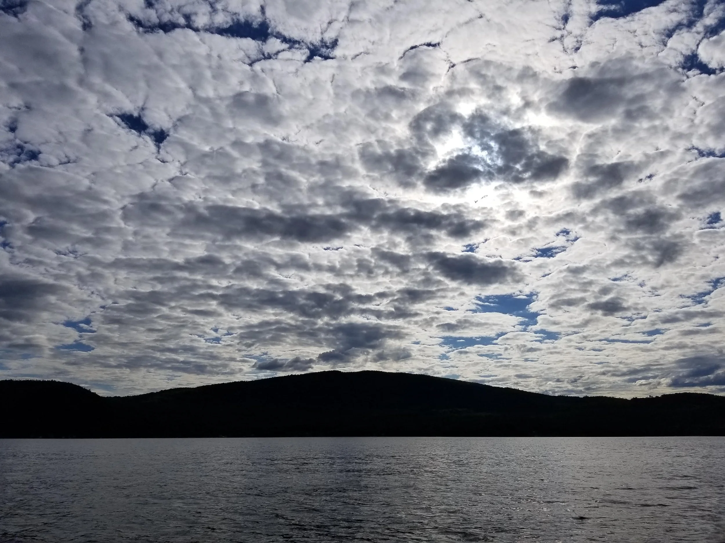 Alexandria, June 14, 2020