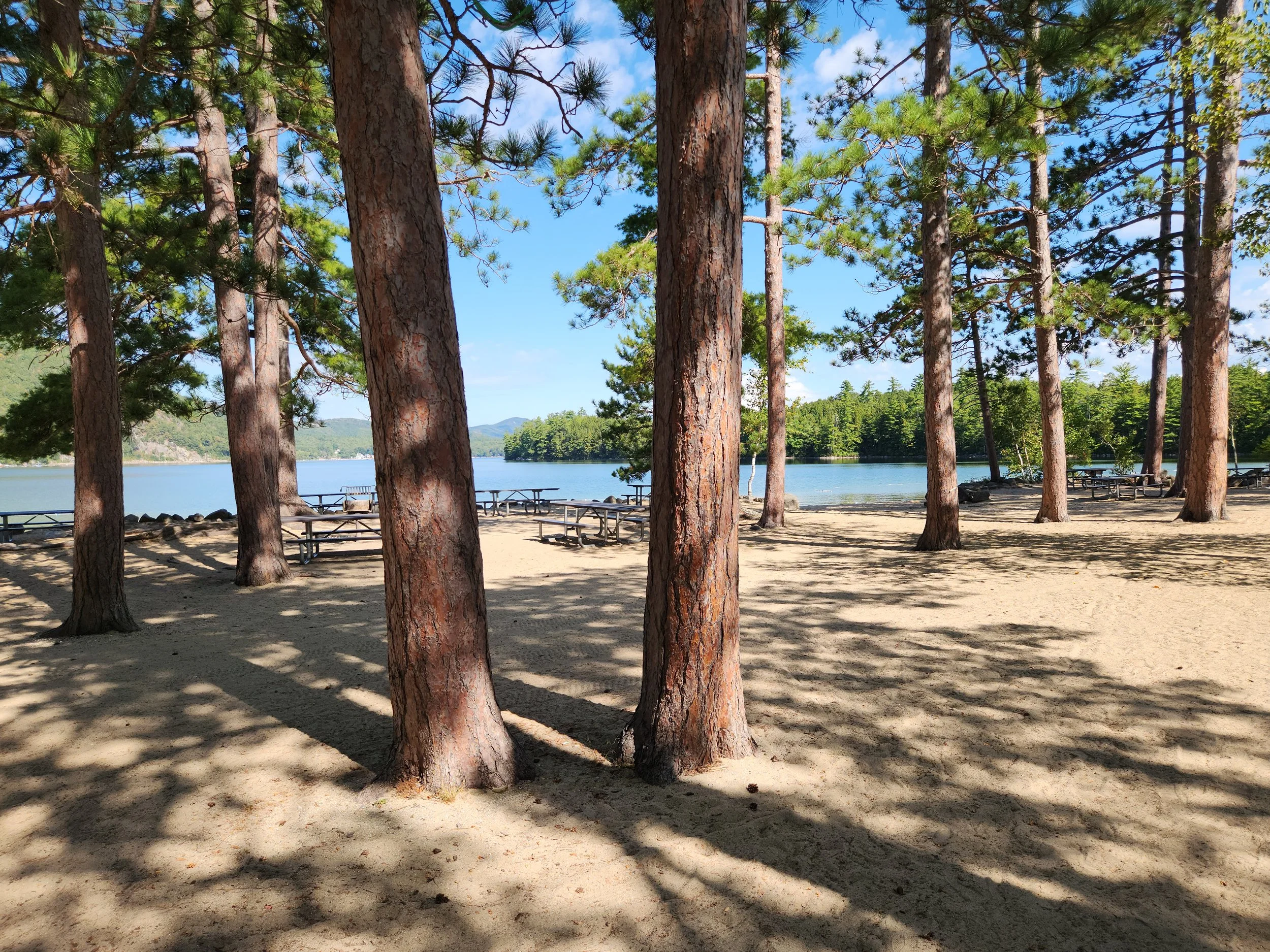 View from Wellington State Park, Bristol, September 3, 2025