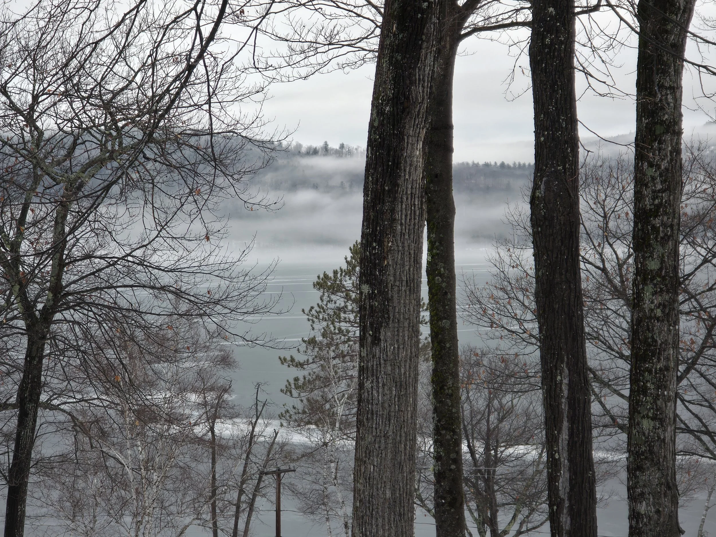 Alexandria, January 11, 2026