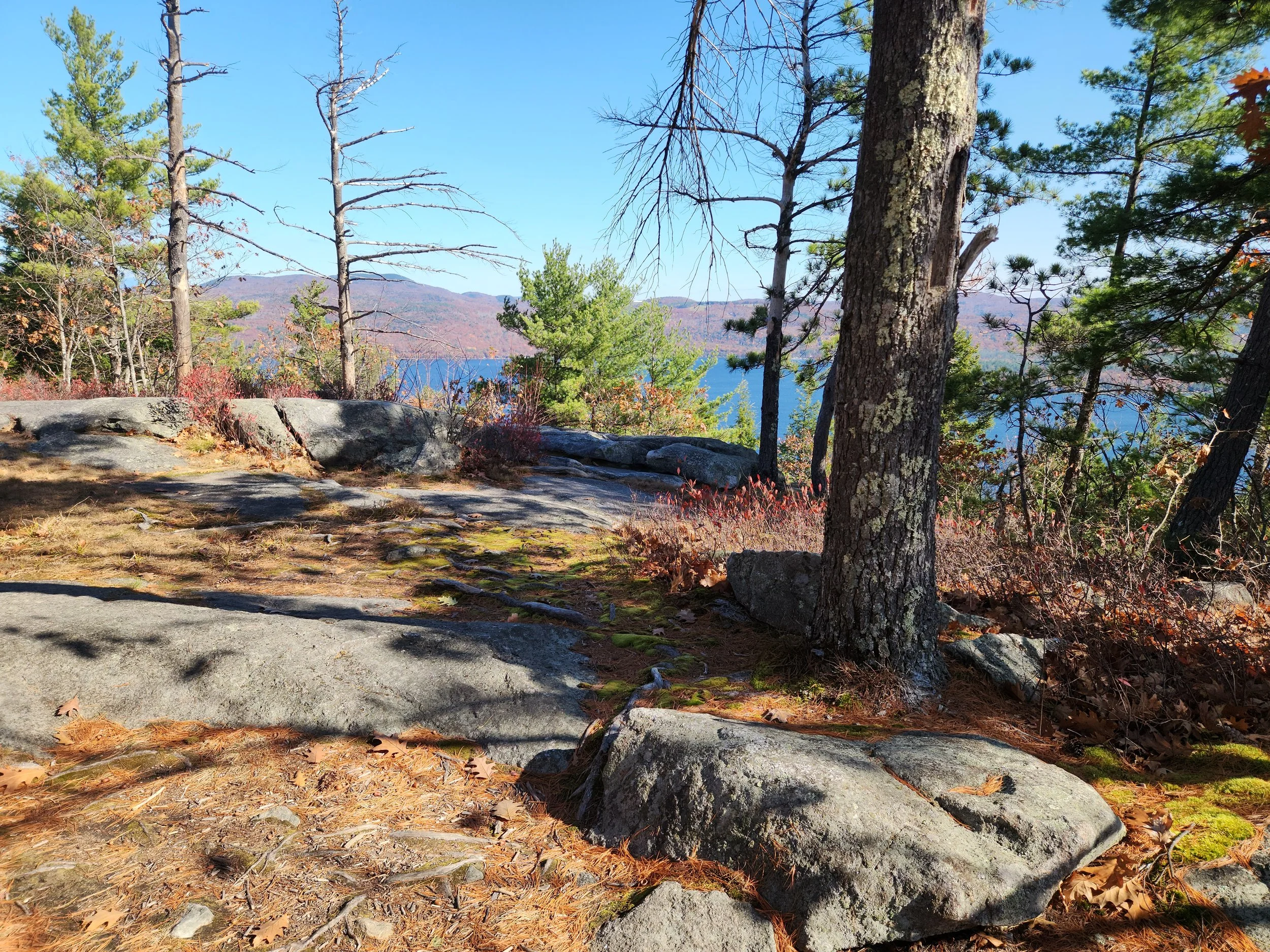 View from Big Sugarloaf mountain, Alexandria, October 24, 2024