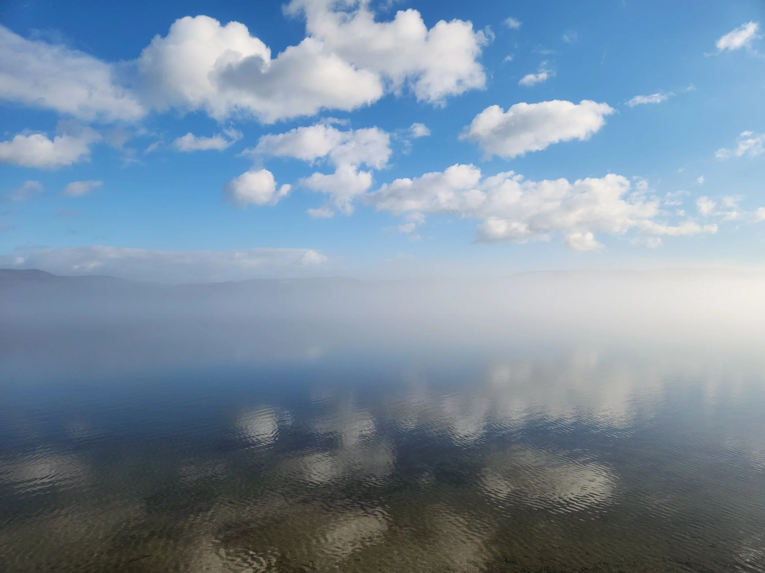 Alexandria, December 17, 2024