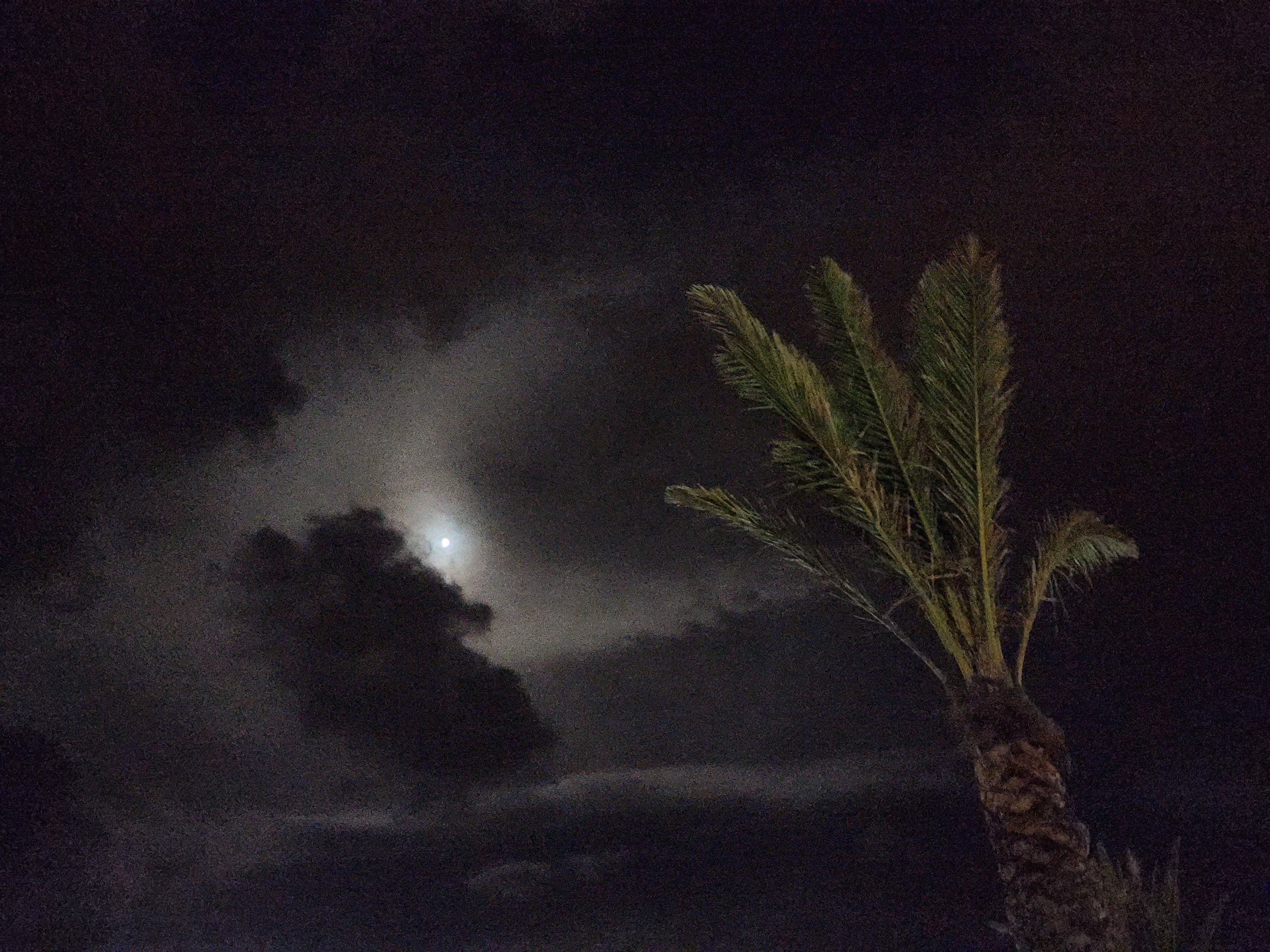 La Gomera, Canary Islands, Spain, Oct. 13, 2024