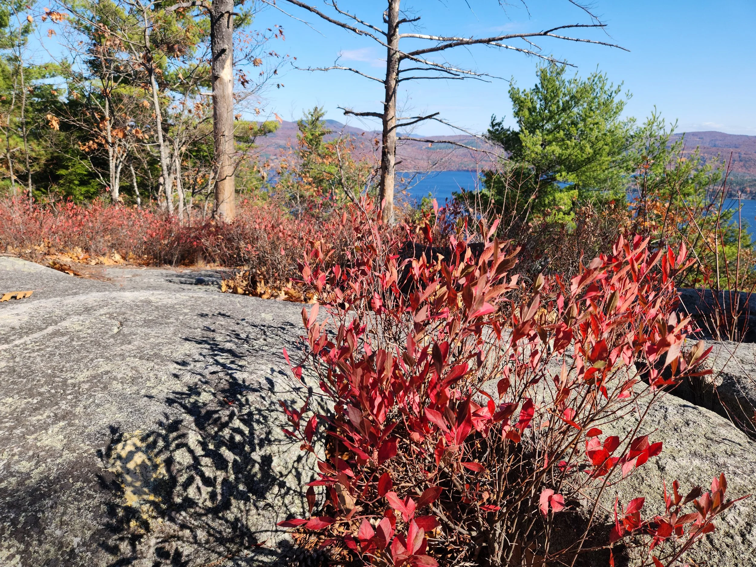 View from Big Sugarloaf mountain, Alexandria, October 24, 2024