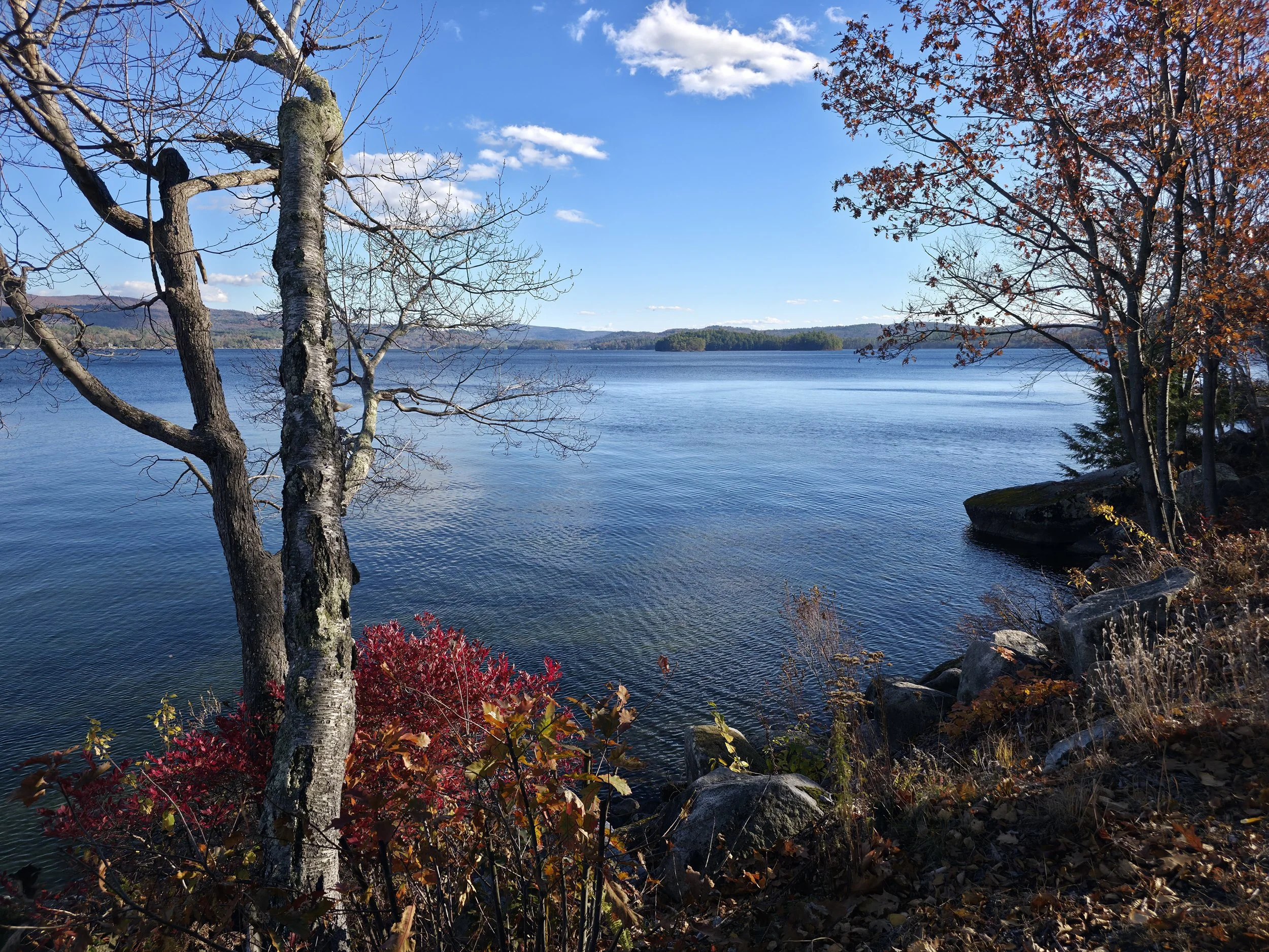 Hebron, November 8, 2025