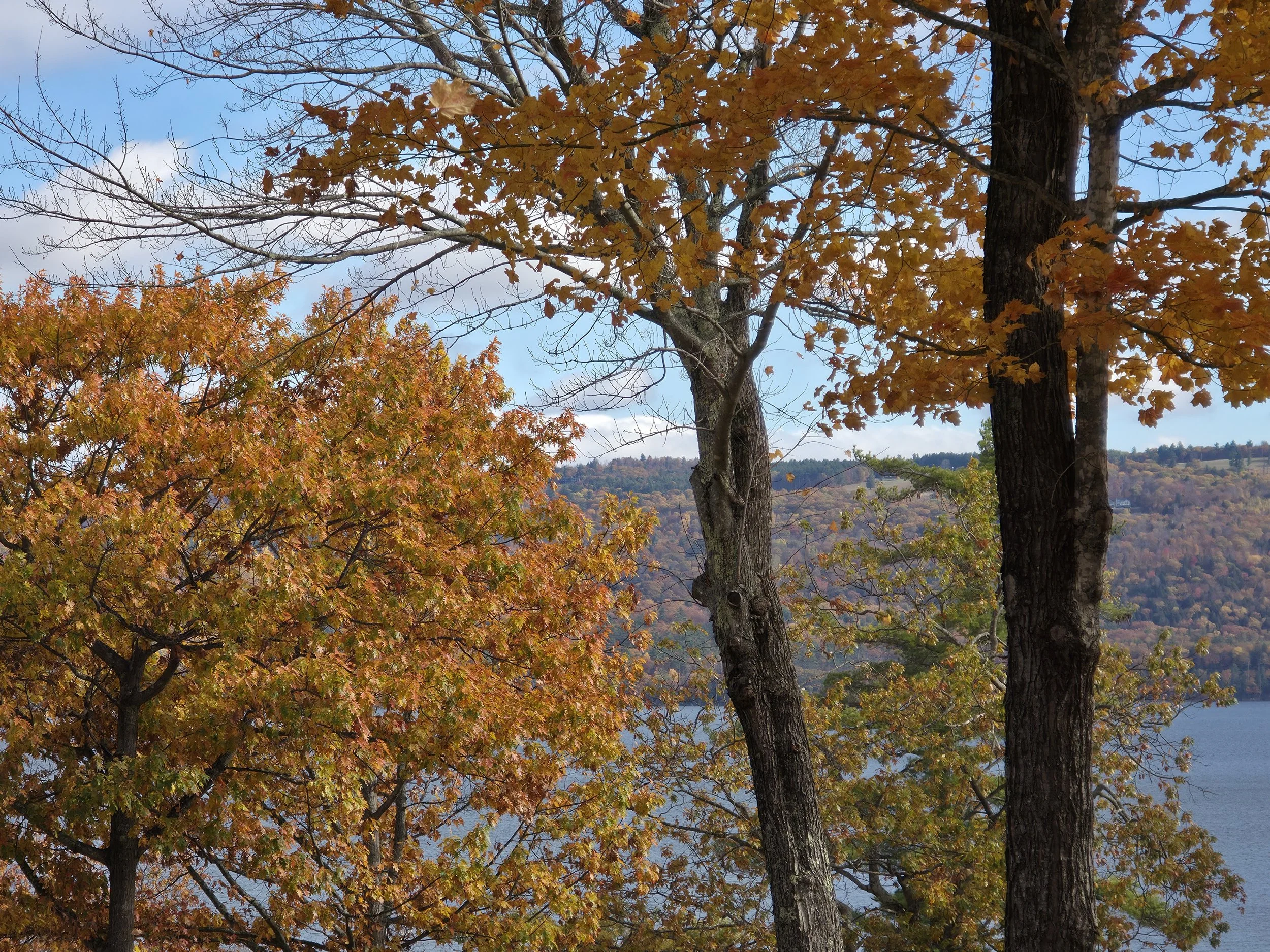 Alexandria, October 25, 2025