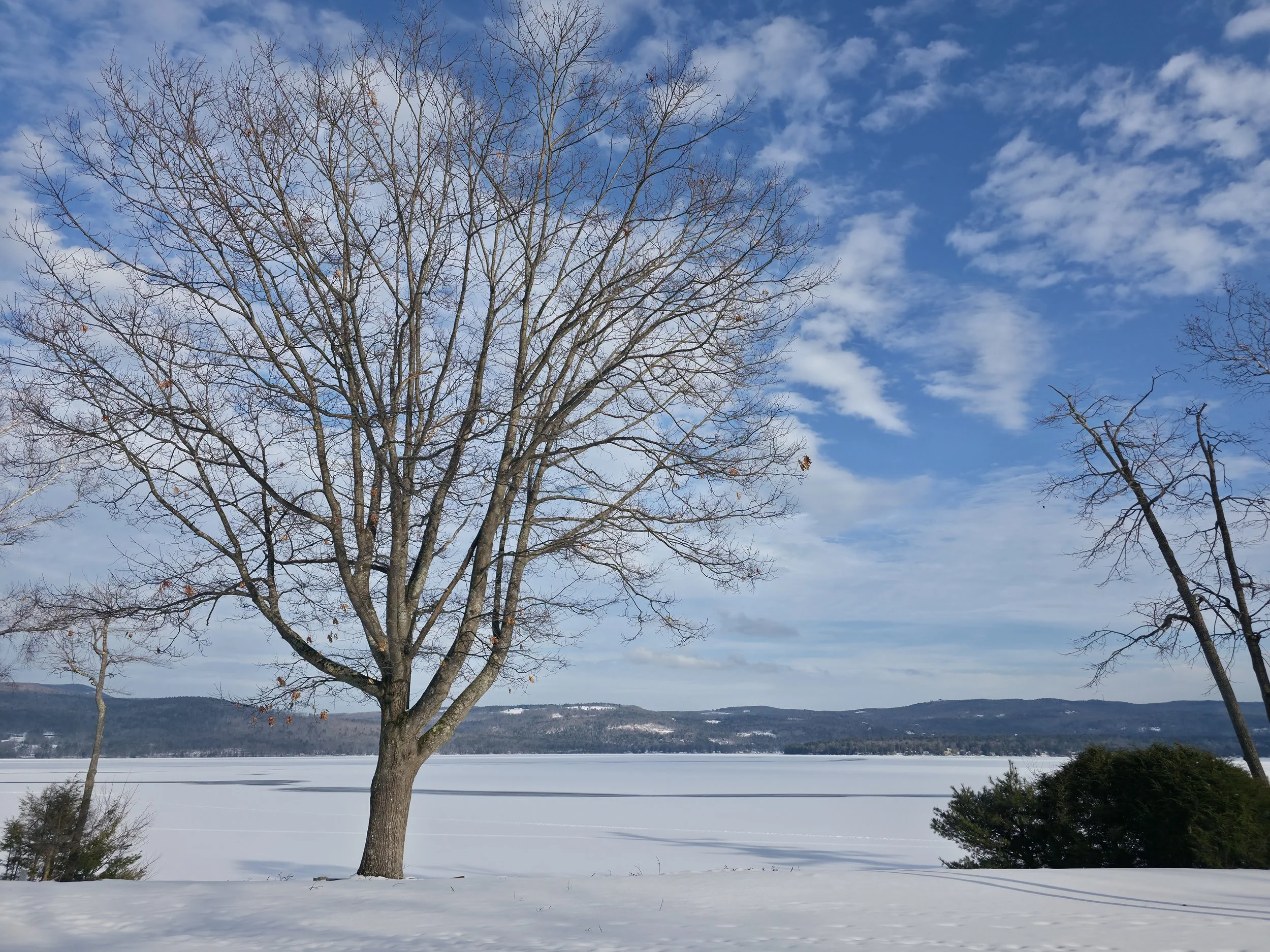 Alexandria, January 9, 2026