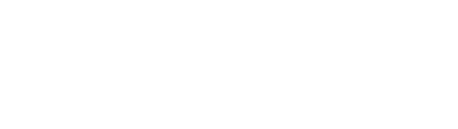 SERDIC