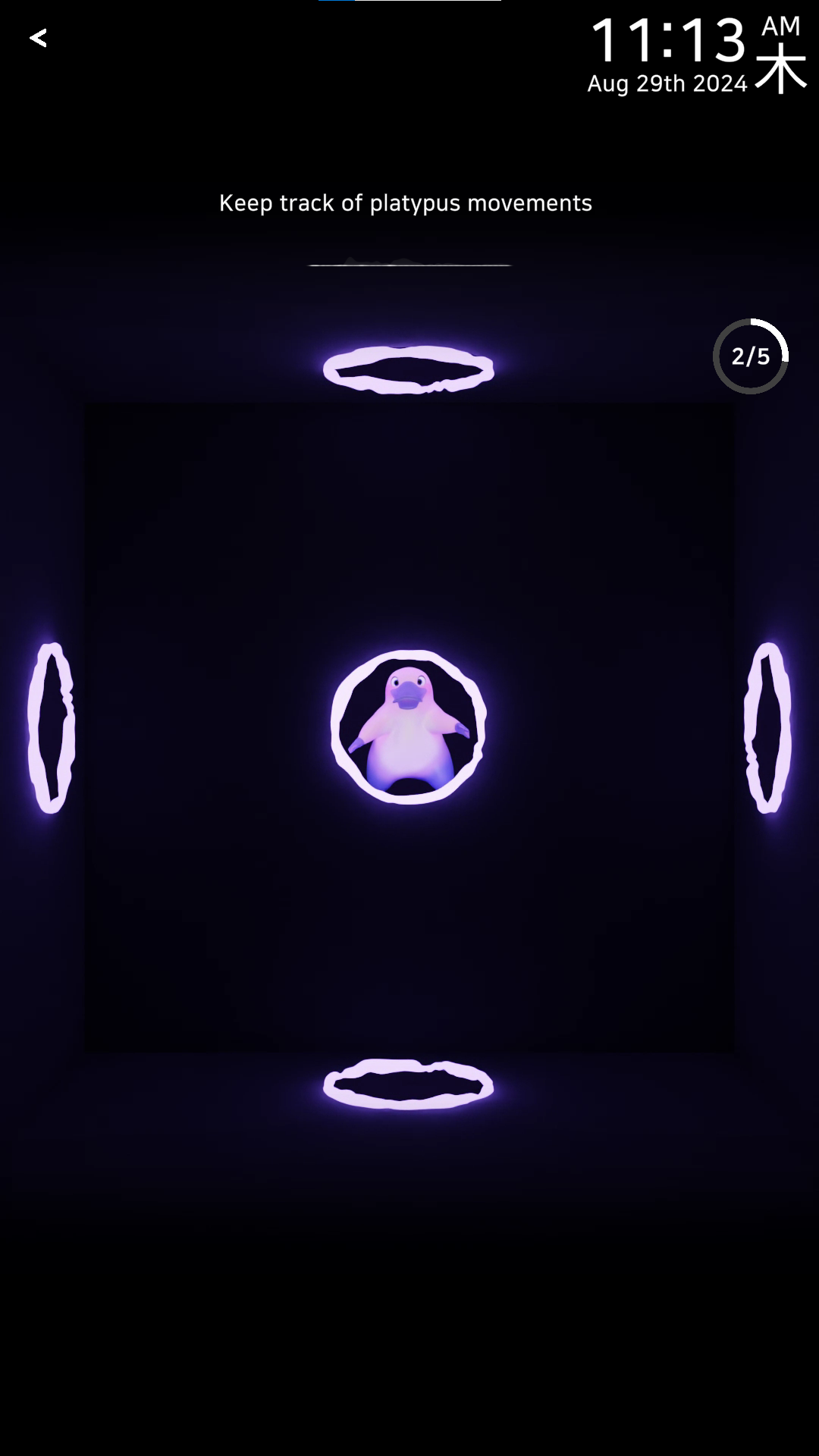 MirrorMate — SERDIC