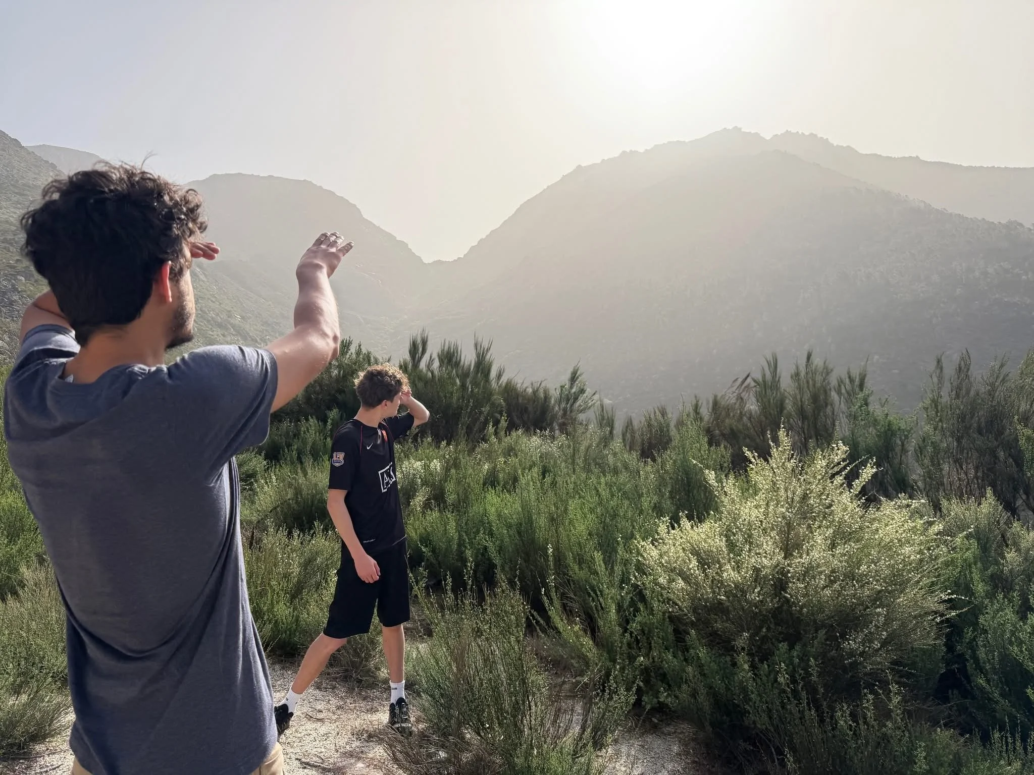 De wereld ziet er anders uit aan 4 km/u