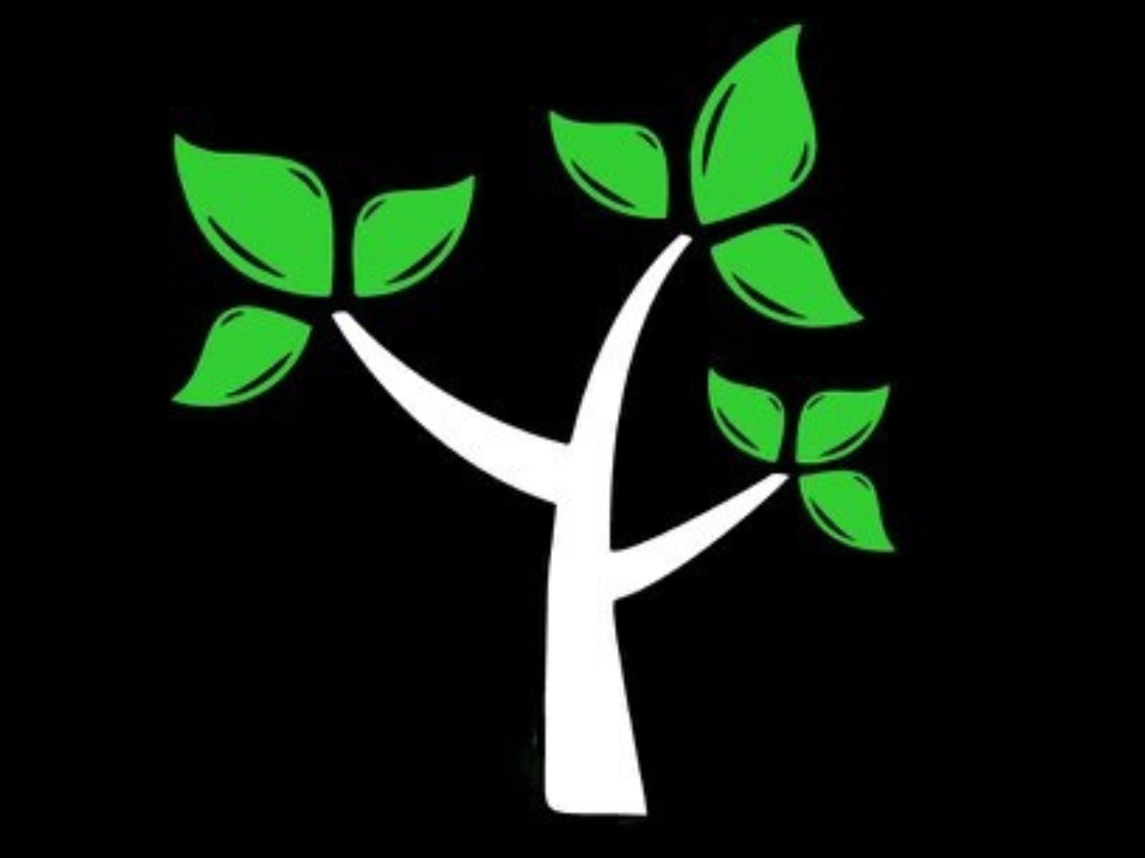 A stylized tree with a white trunk and branches, and green leaves, on a black background.