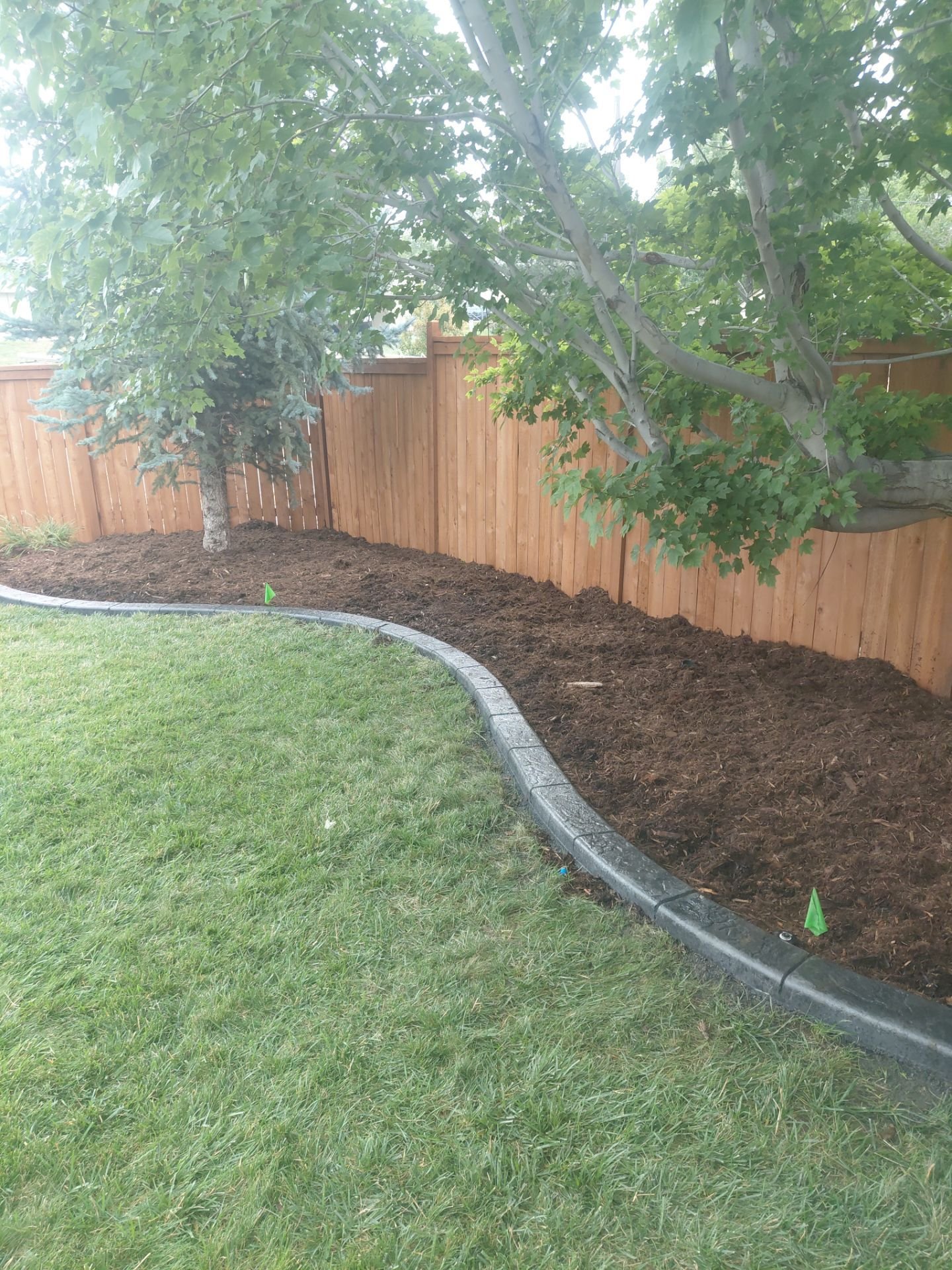 Part of a backyard with green grass, a curved stone border, freshly mulched garden bed, and two trees beside a wooden fence.
