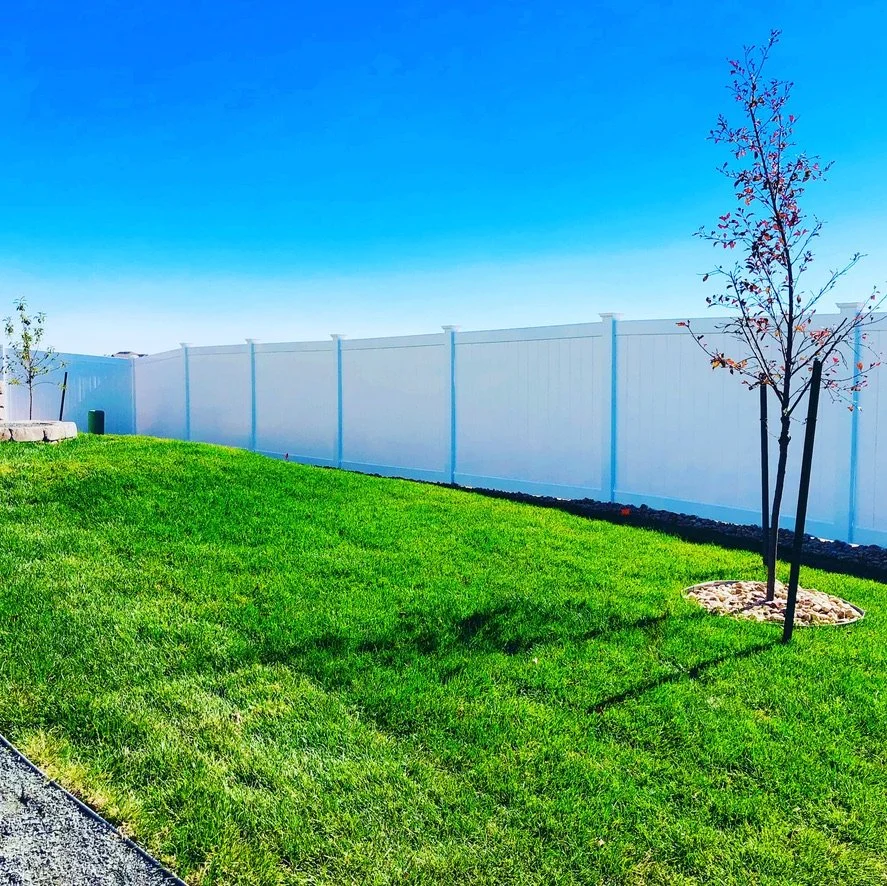 A backyard with a well-maintained green lawn, two small trees with protective stakes, and a tall white privacy fence under a clear blue sky.