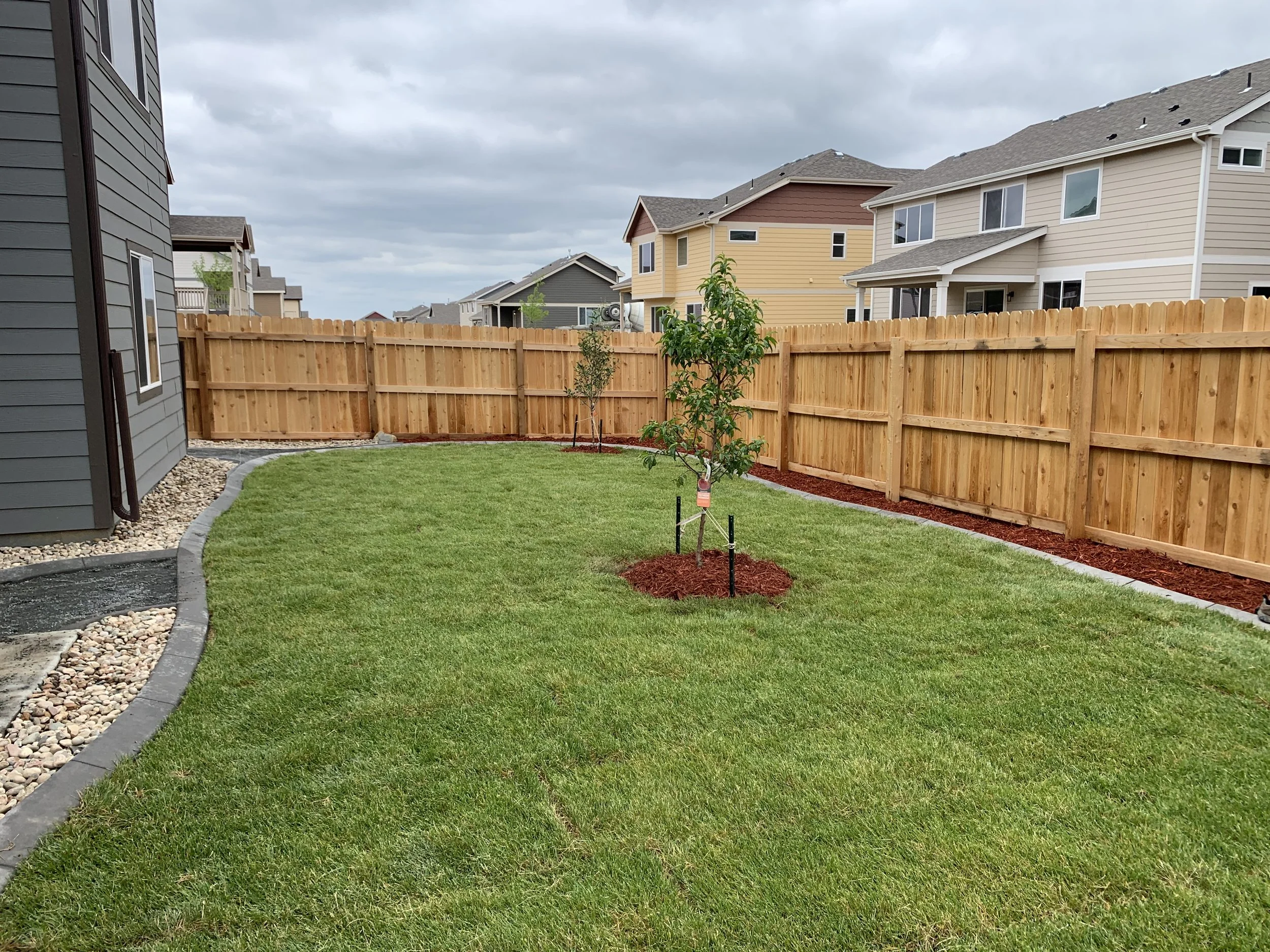 A backyard with a green lawn, two young trees with stakes, a gravel pathway along the house, and a wooden fence, with a cloudy sky overhead.