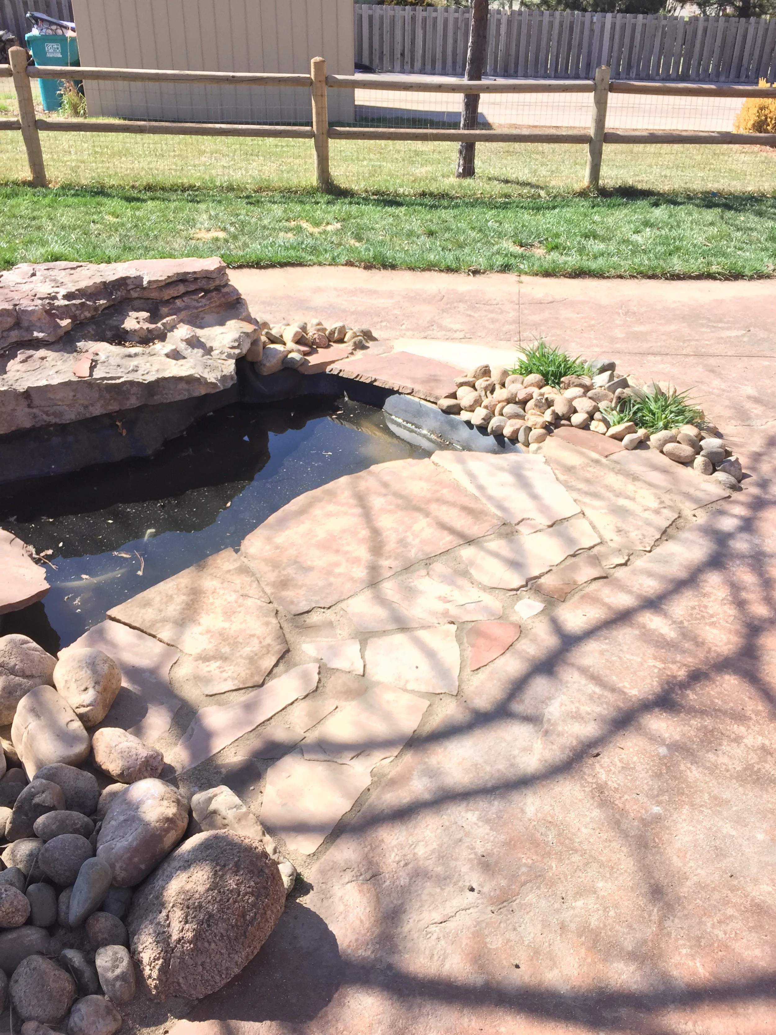 A backyard scene featuring a small pond framed by rocks and stones, with a stone pathway leading to the pond, a grassy area with a wooden fence in the background, and some greenery and plants around the pond.