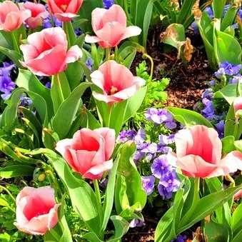 20220319_203140 (1).jpg