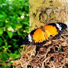 20220319_203900 (1).jpg