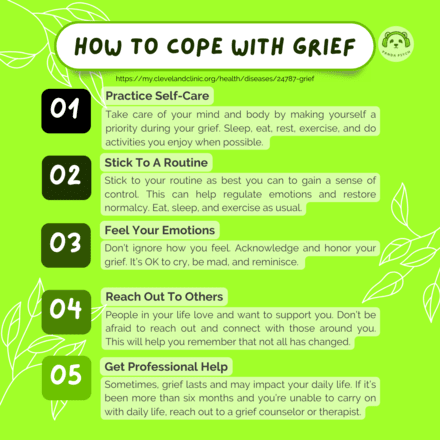 Navigating College Grief: Understanding and Supporting on College ...