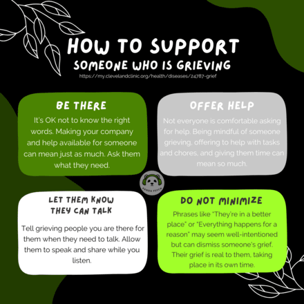 Navigating College Grief: Understanding and Supporting on College ...