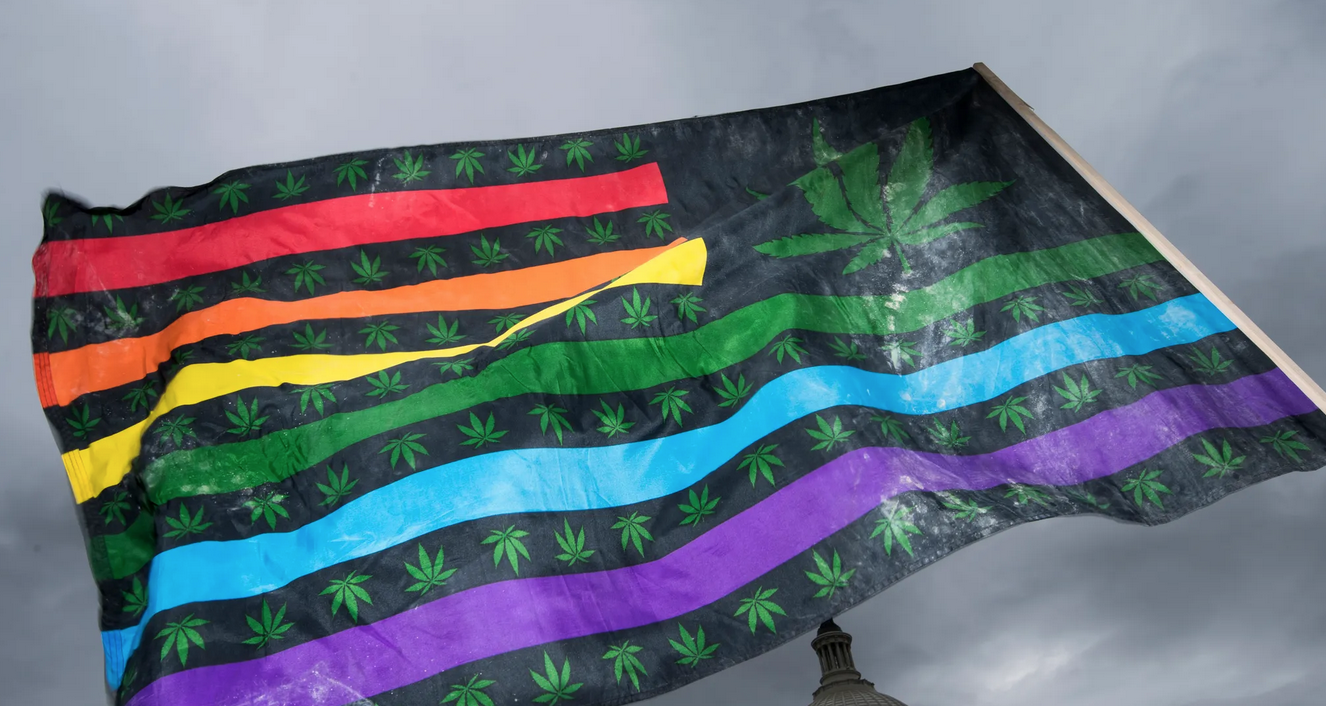 Screenshot 2025-04-04 at 11.56.41 AM.png