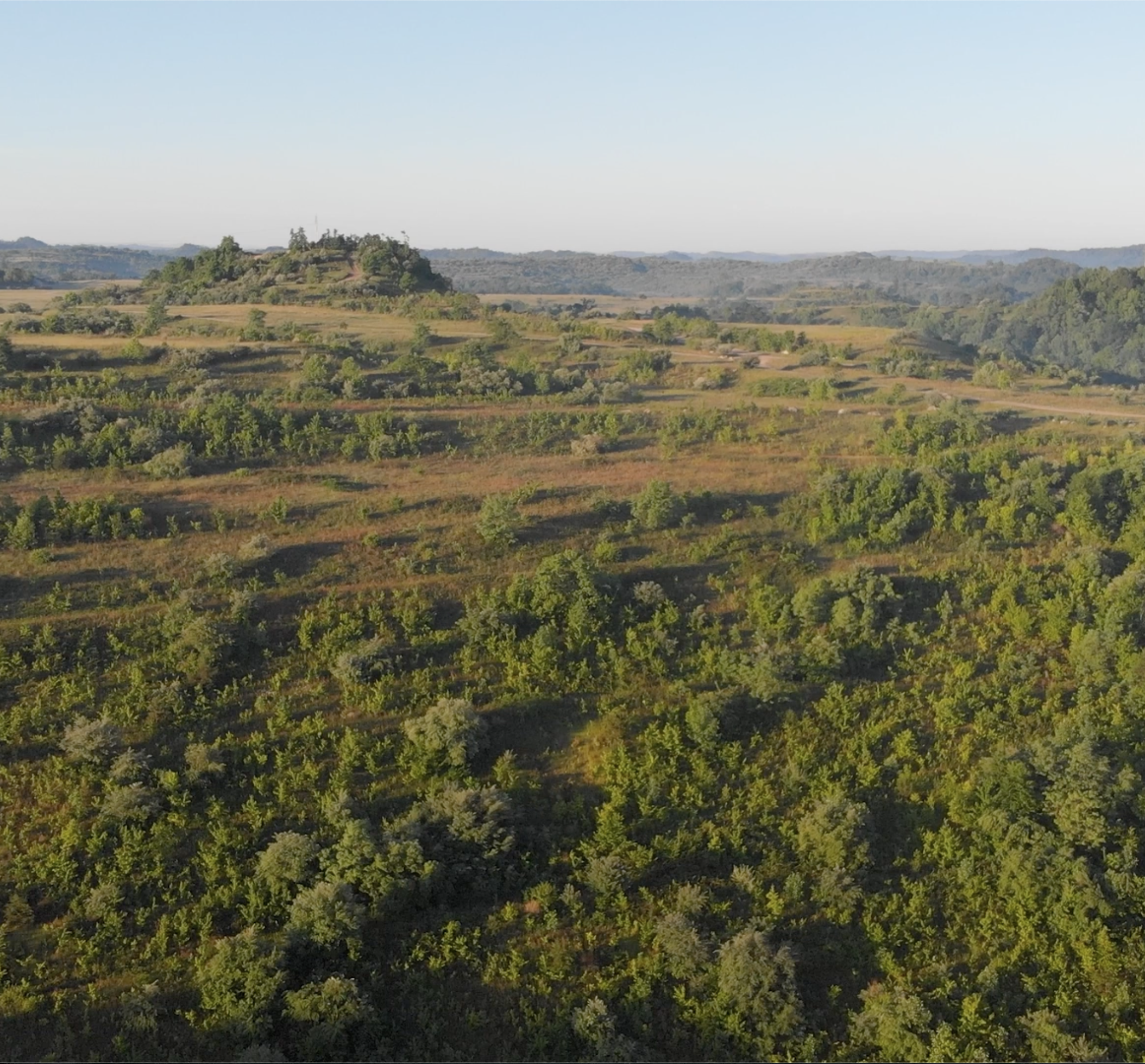 Screenshot 2024-06-25 at 11.58.57 AM.png