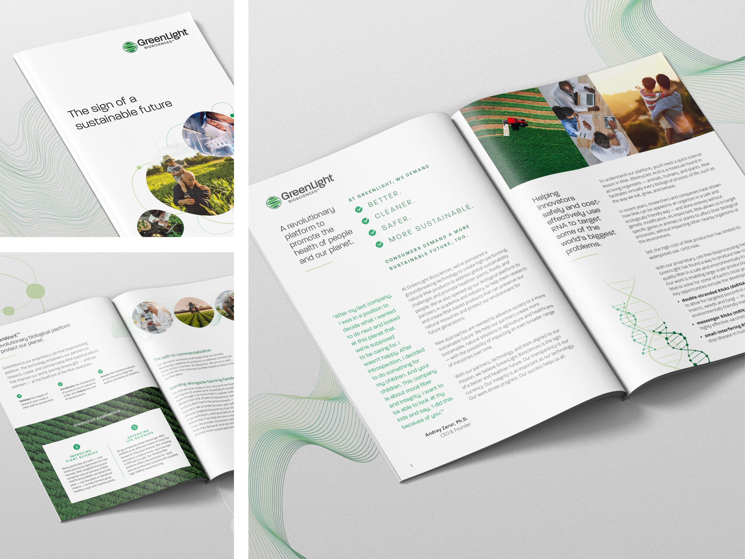 Greenlight_BrandBrochure_2000x1500.jpg