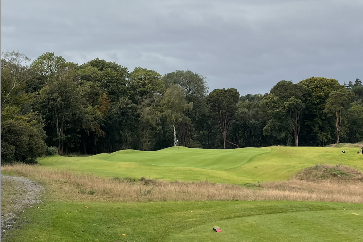 A bright undulating green sits framed by dark forest at The Addington in Surrey.
