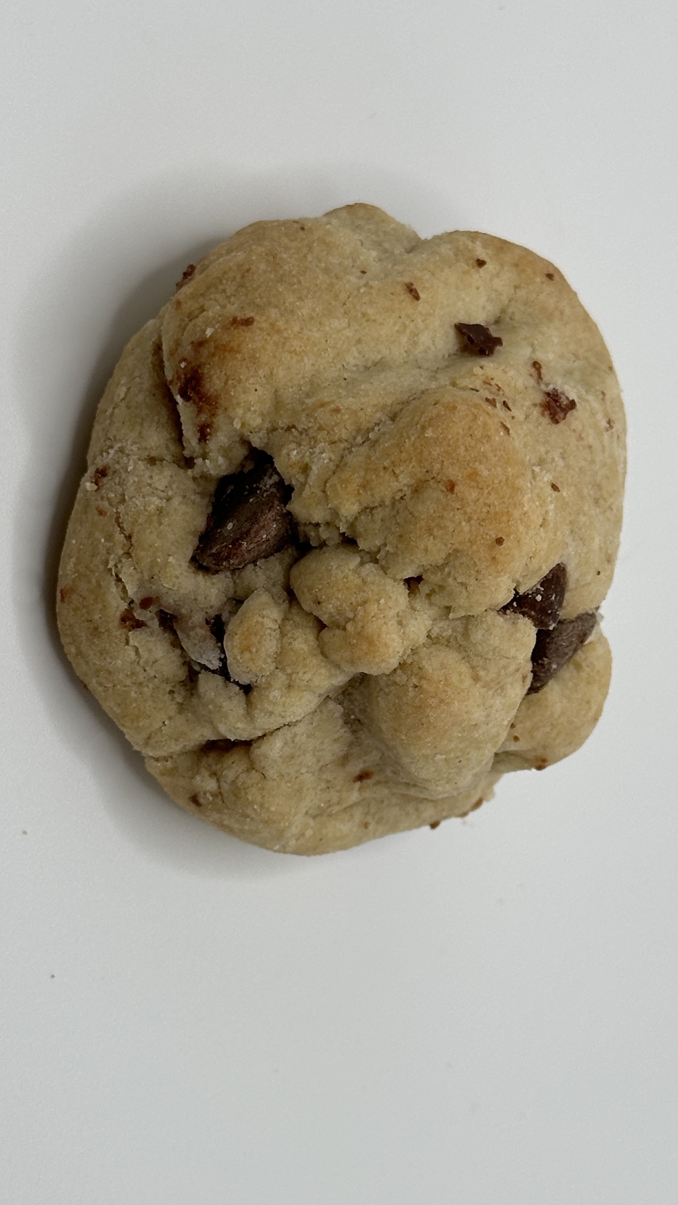 0E925B05-111D-4059-8AC4-CCAA65FD43E8_1_201_a.jpeg