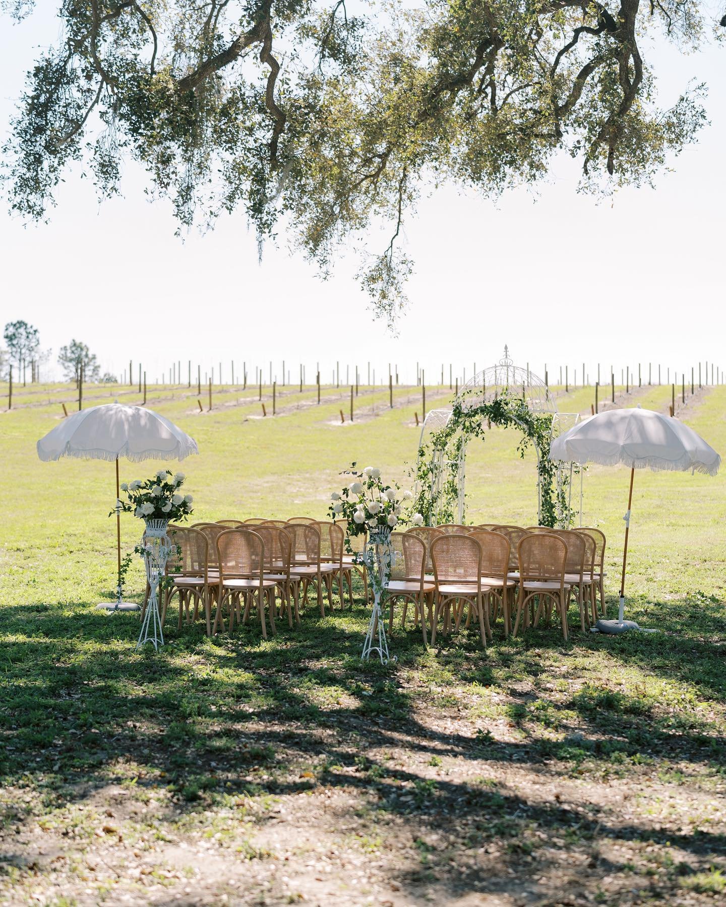 ✨ Wedding season is here, and we&rsquo;re already dreaming about 2025! 💍 To all the brides planning for next year! Book a tour and see why our venue is the perfect place to start your forever. 🌿❤️

Planner: @saepevents&nbsp;
🪑Rentals: @stellarosee