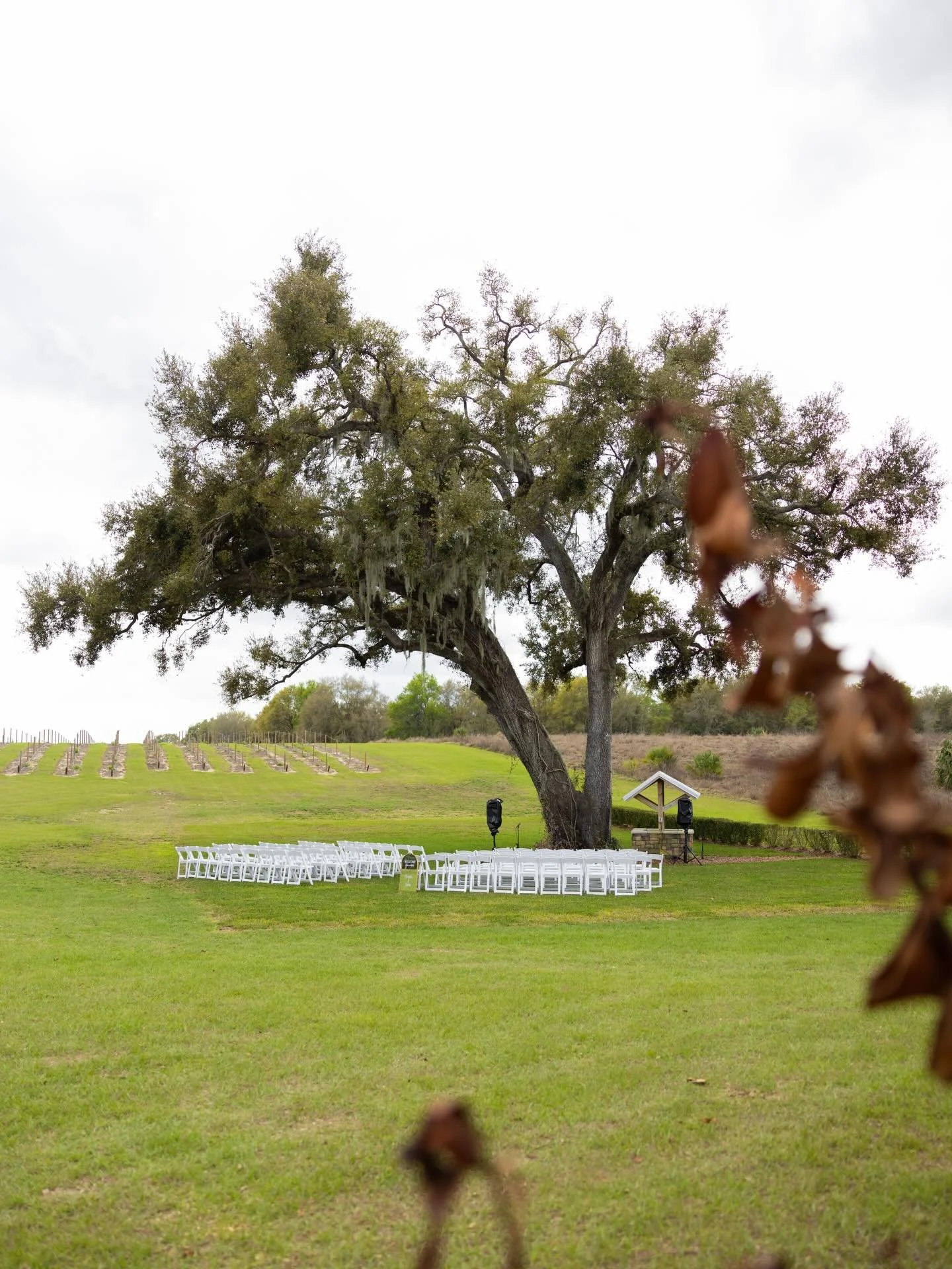 Saying &ldquo;I do&rdquo; beneath our beautiful oak tree is always pure magic 🌿✨

With stunning views from every angle, this sweet couple chose to set their ceremony on a diagonal adding such a unique and personal touch to their moment 💍

It&rsquo;