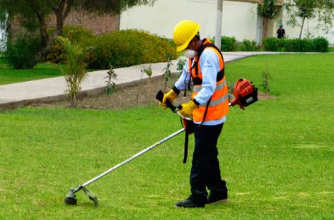 Servicio de Jardinería