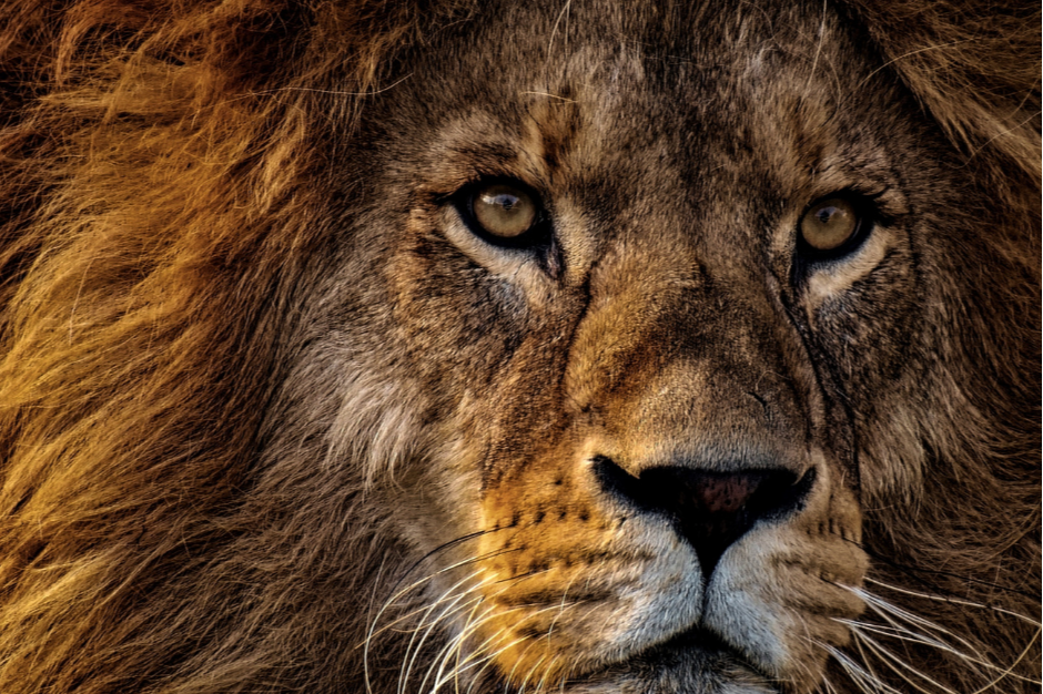 Diseño sin título (4).png