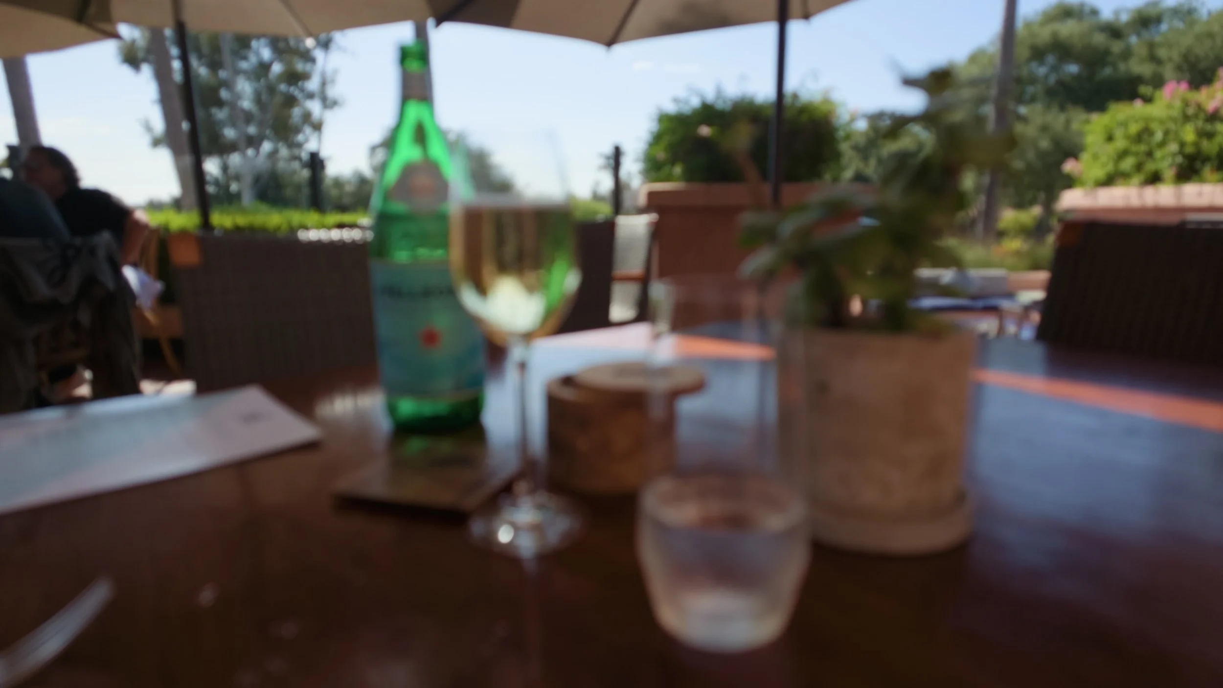Vuelo Etched Glassware