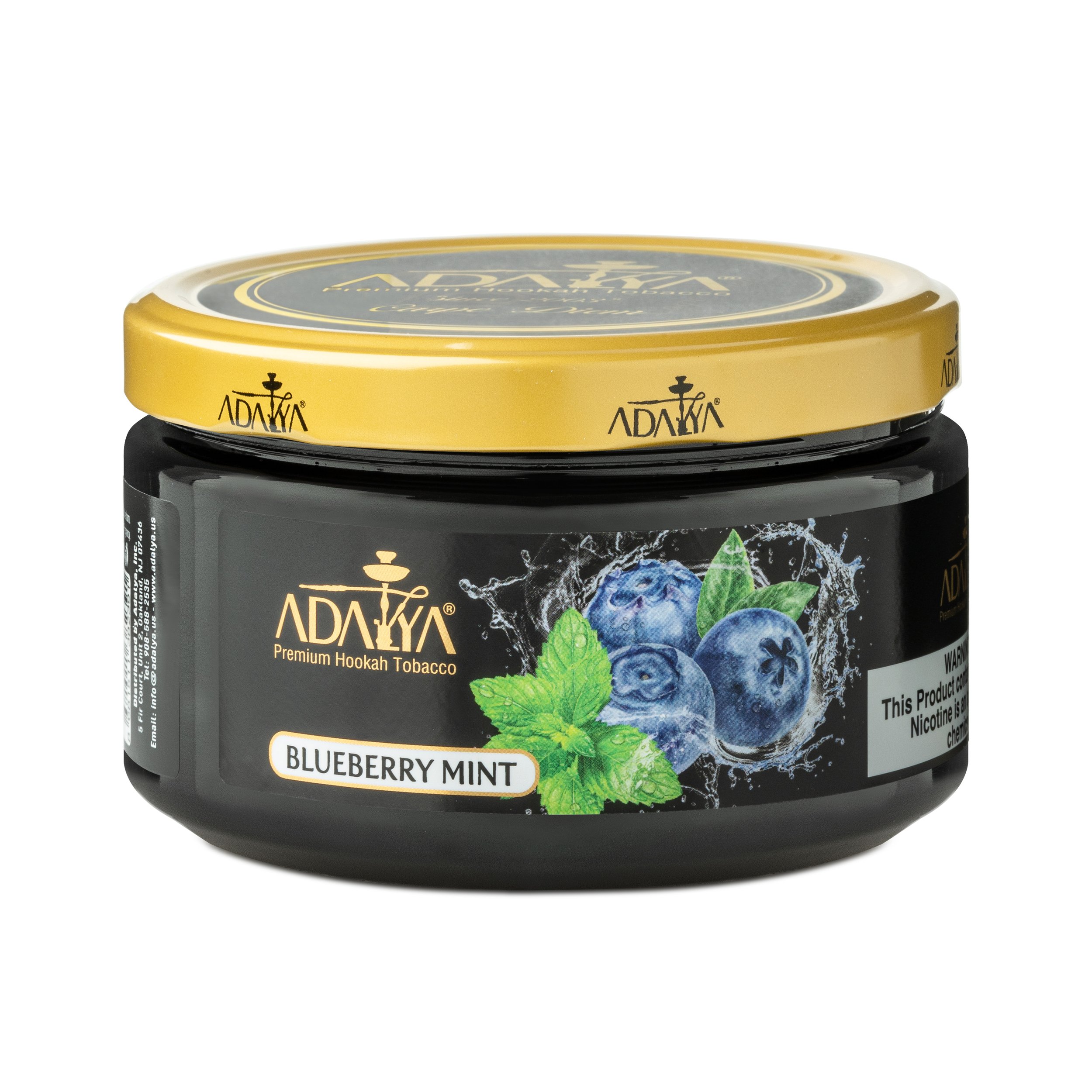BLUEBERRY MINT.jpg