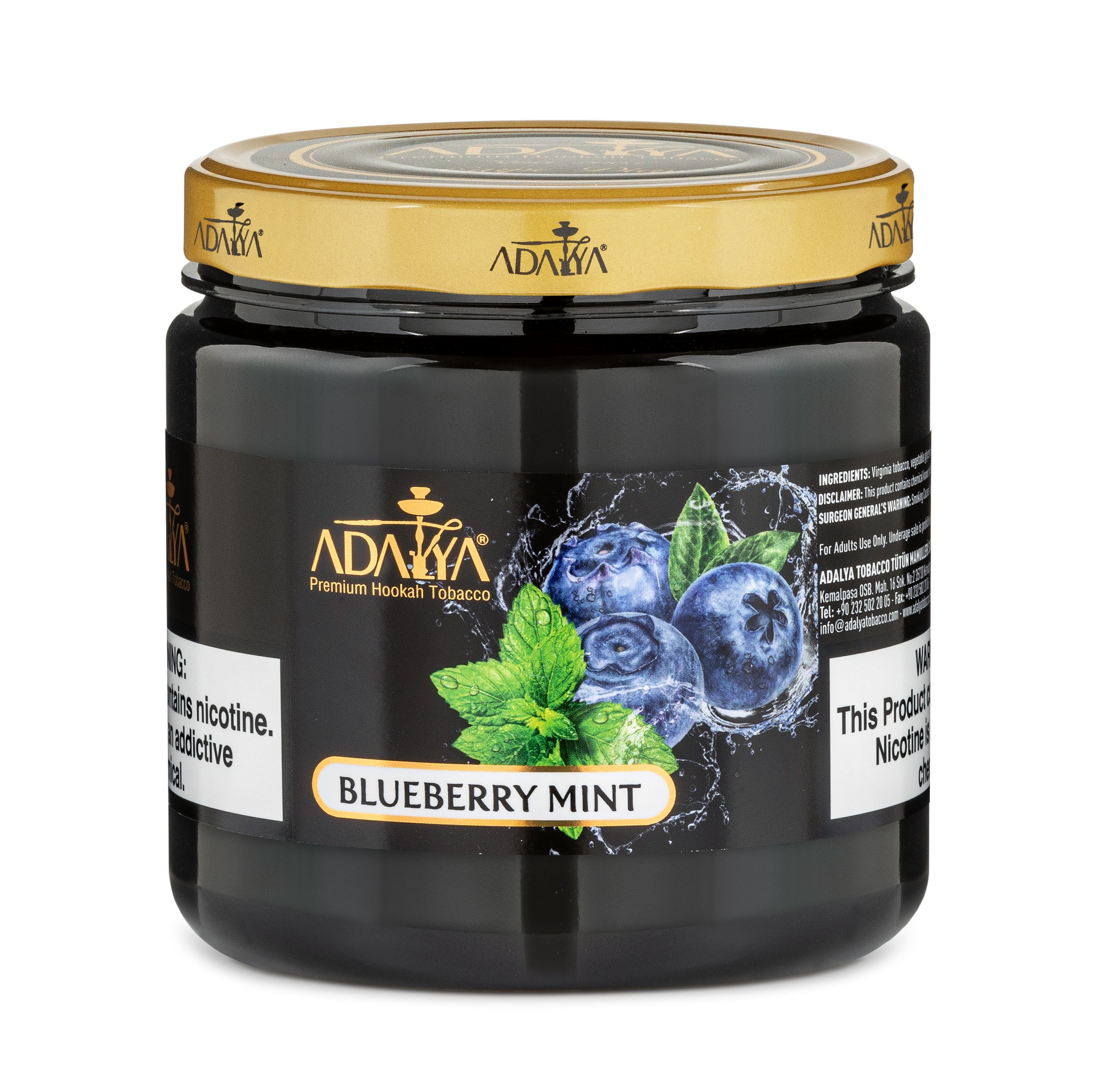 BLUEBERRY MINT 1000GR kopya.jpg