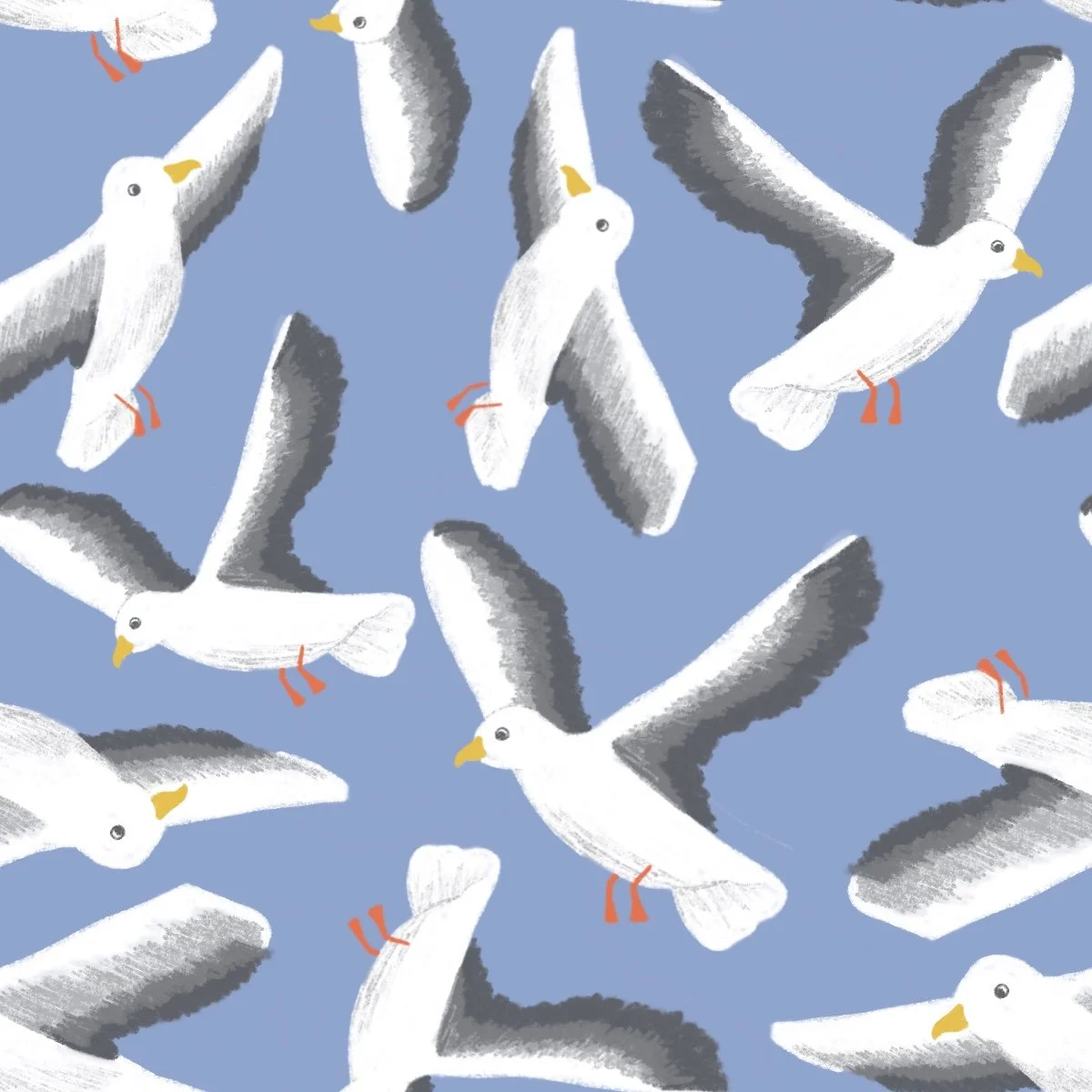 Seagulls: TH23-A39