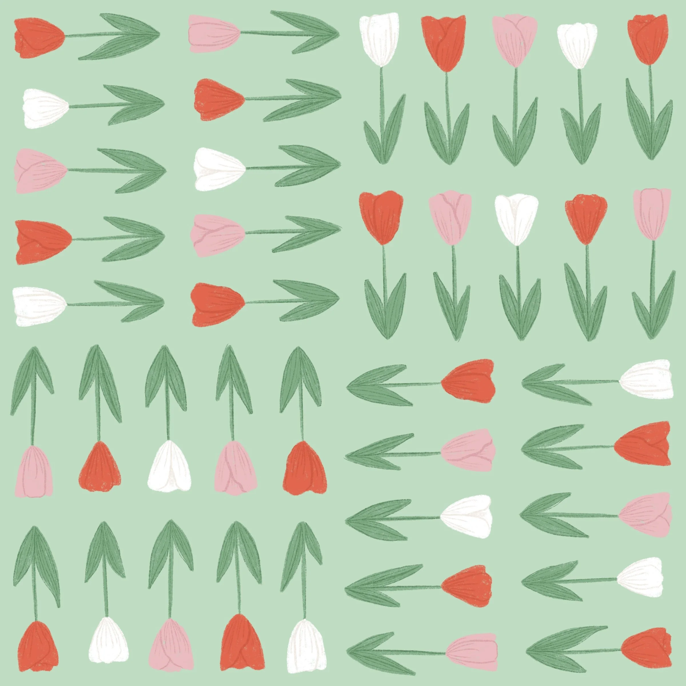 Tulip Garden: TH22-A2