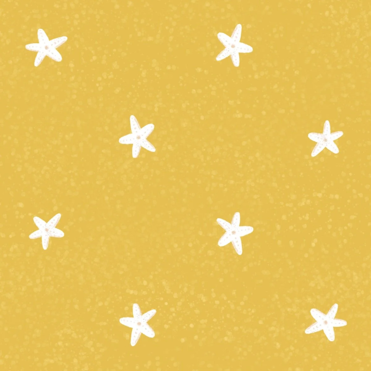 Starfish: TH23-A41