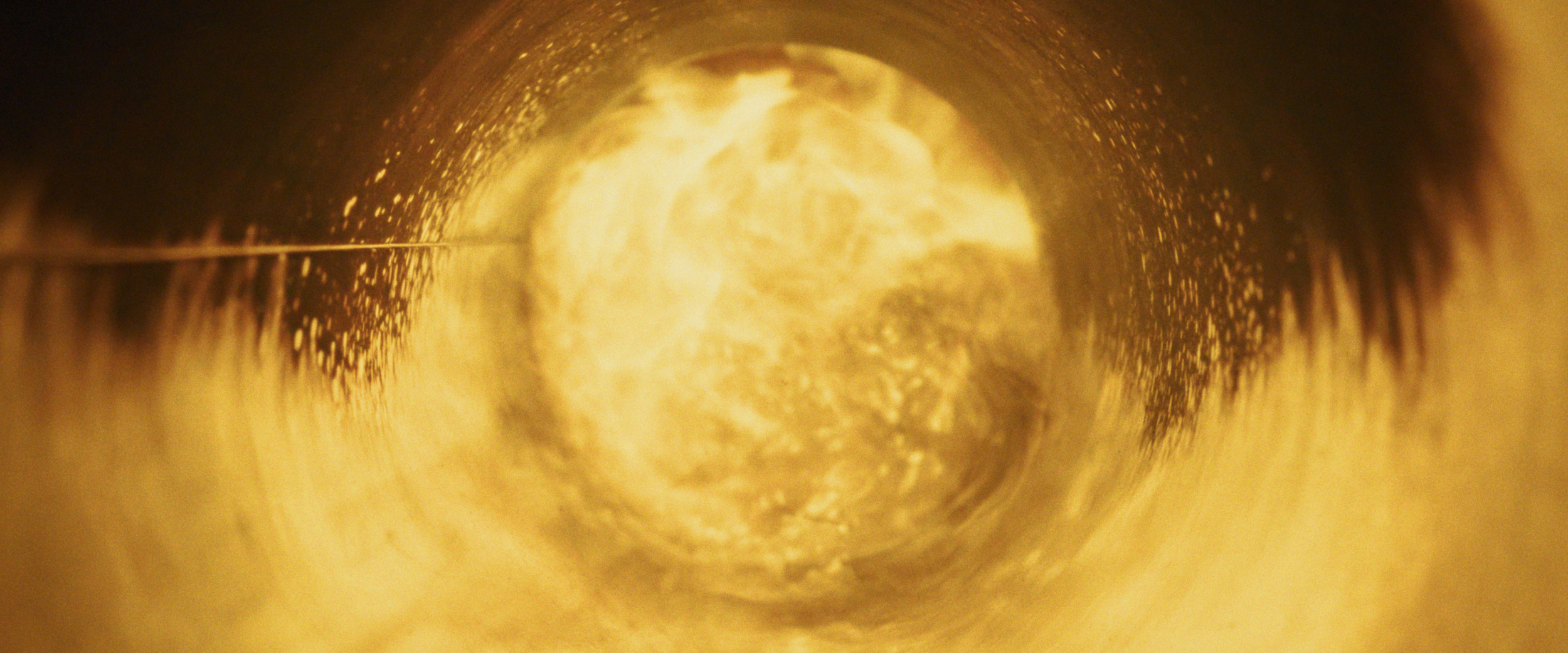 Still 2026-02-11 111810_1.38.1.png