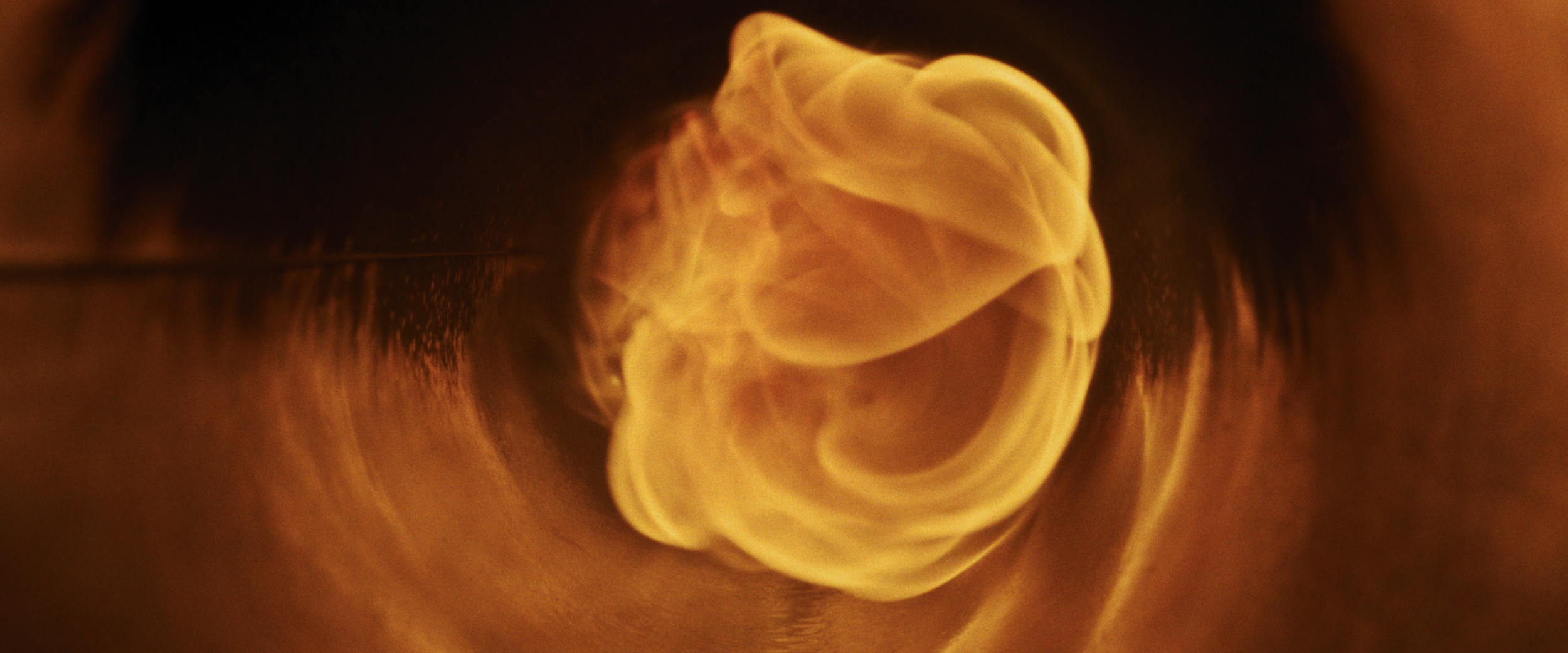 Still 2026-02-11 111810_1.54.1.png