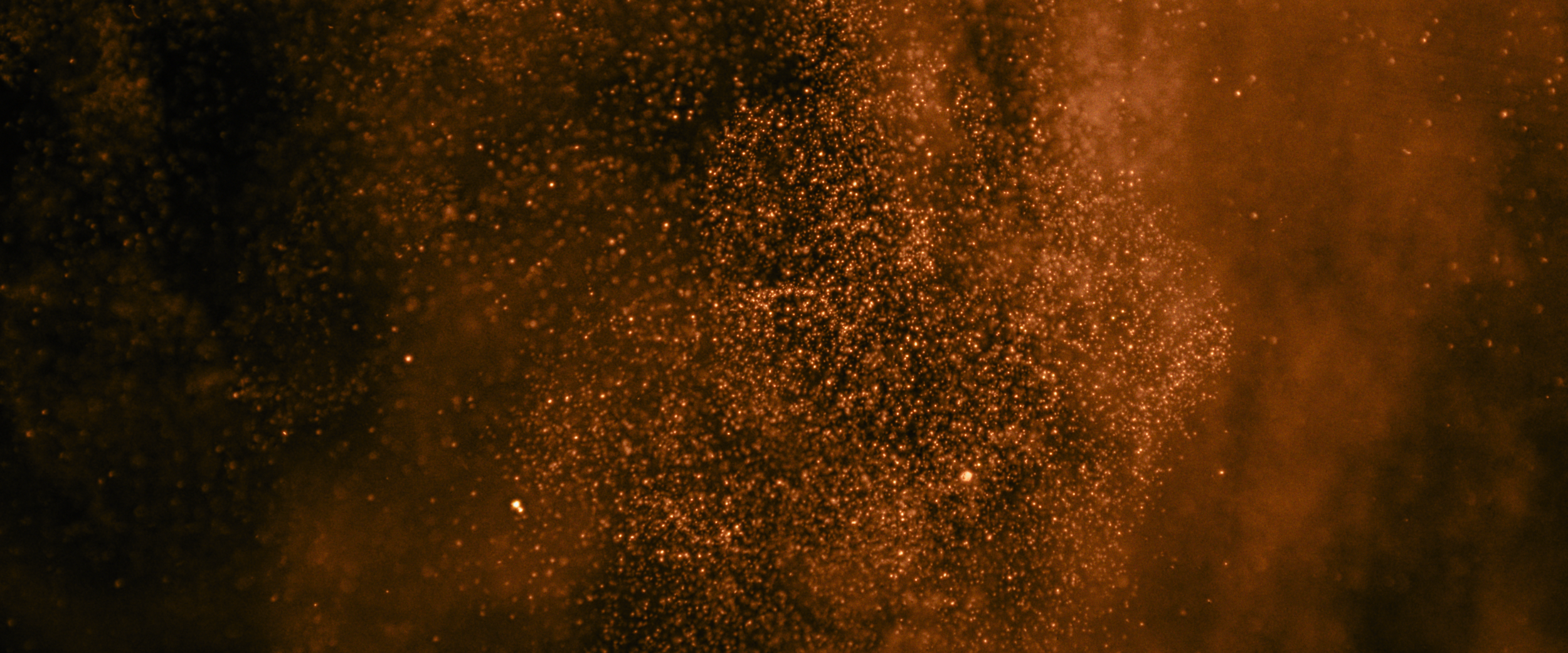 Still 2026-02-11 111810_1.12.1.png