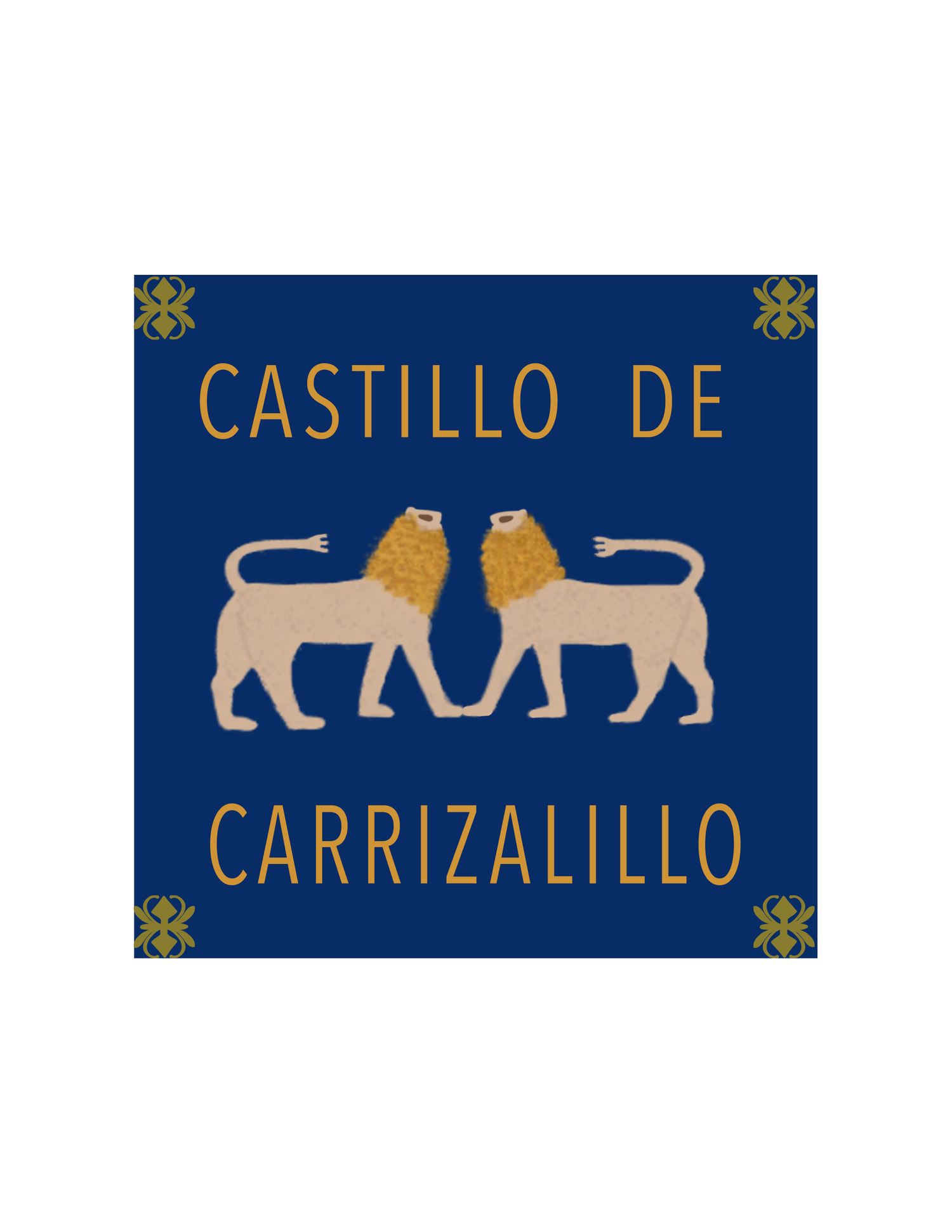 CASA EL CASTILLO DE CARRIZALILLO