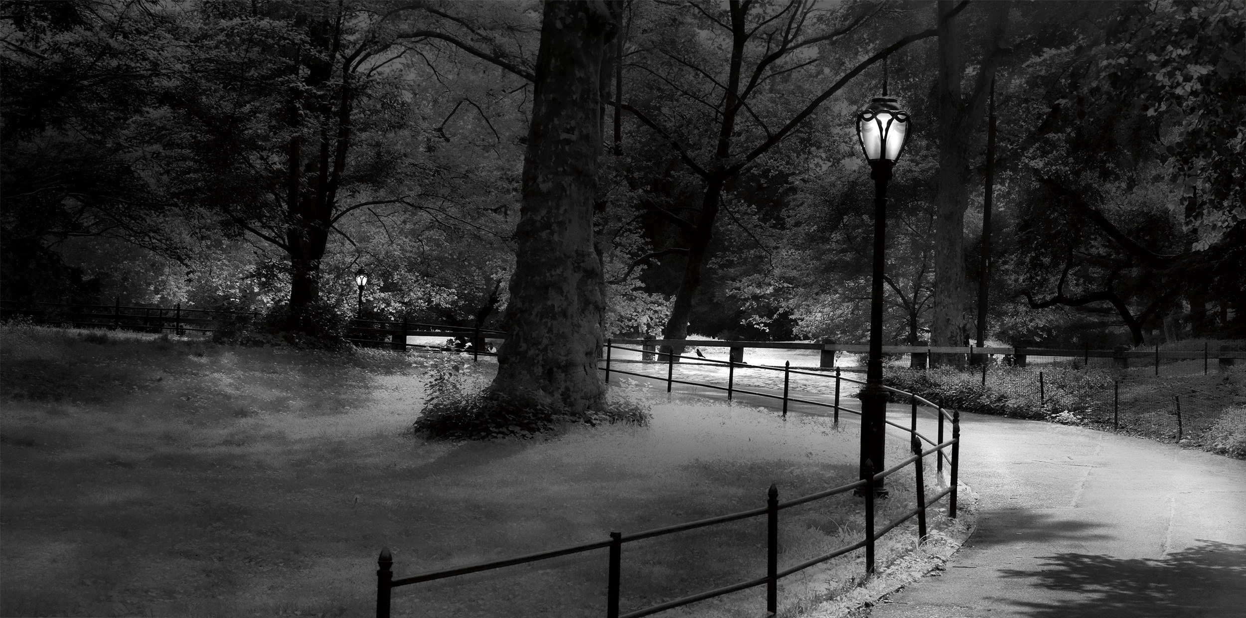 Cruved Path, Central Park, NY