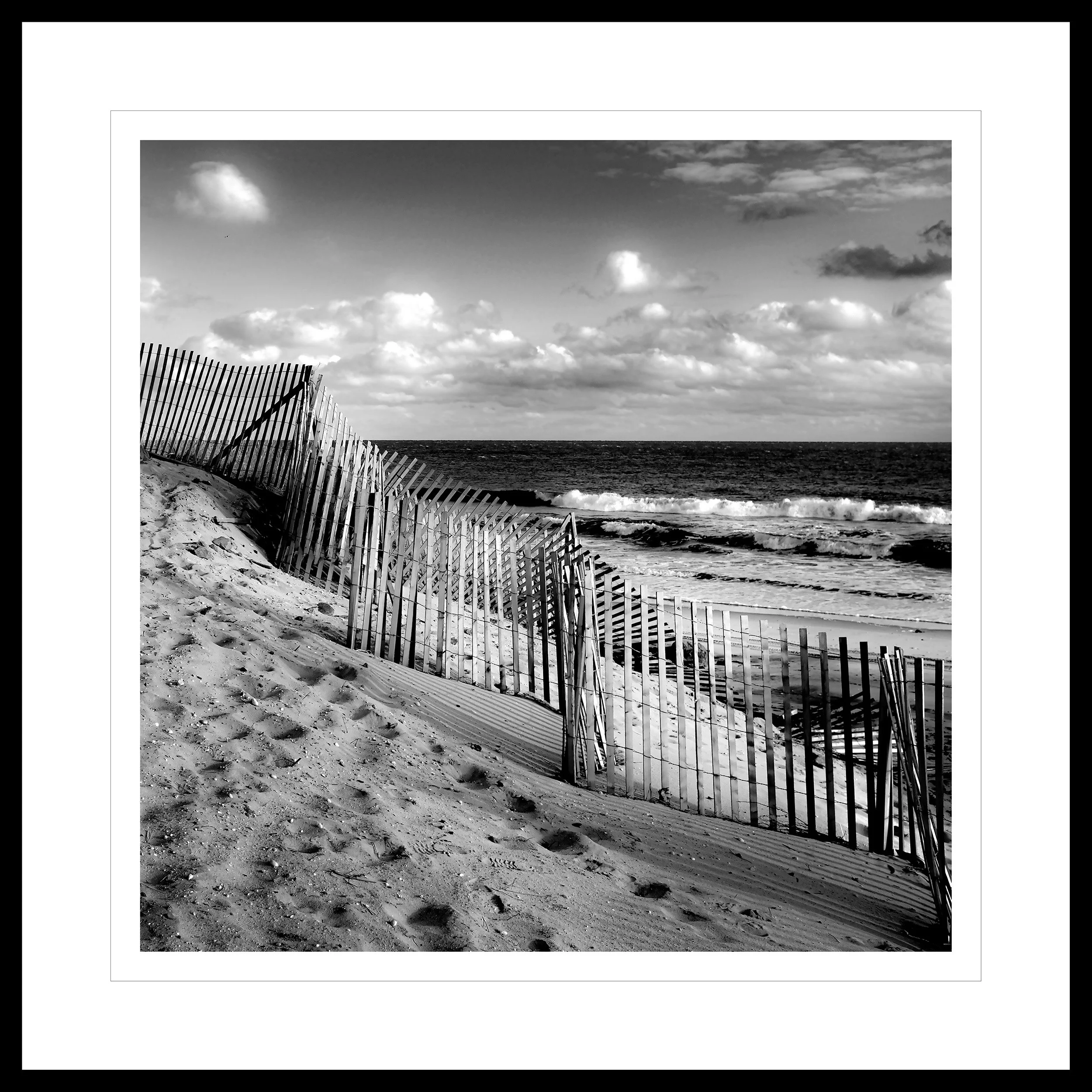 Dune Fence