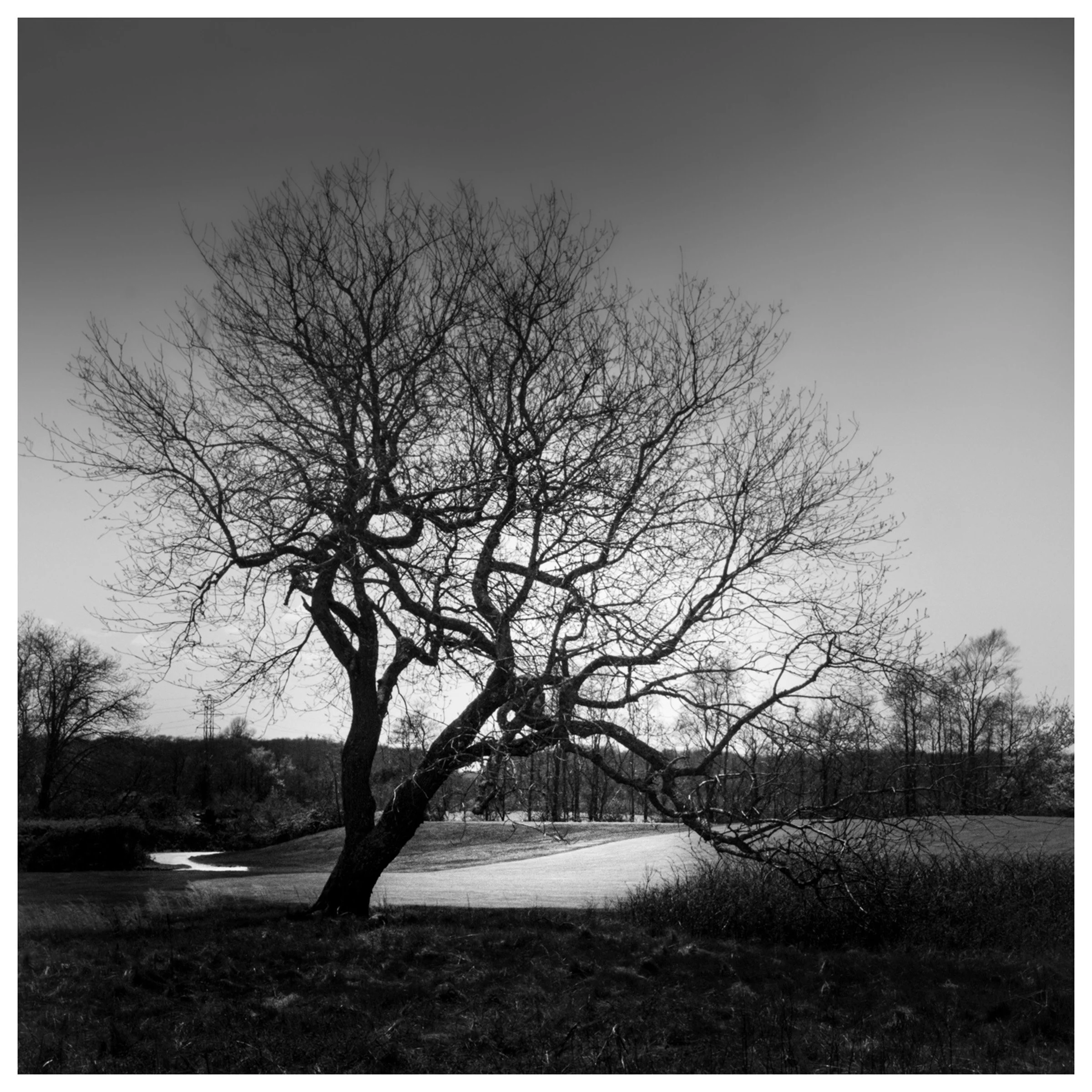 Amagansett Golf Club