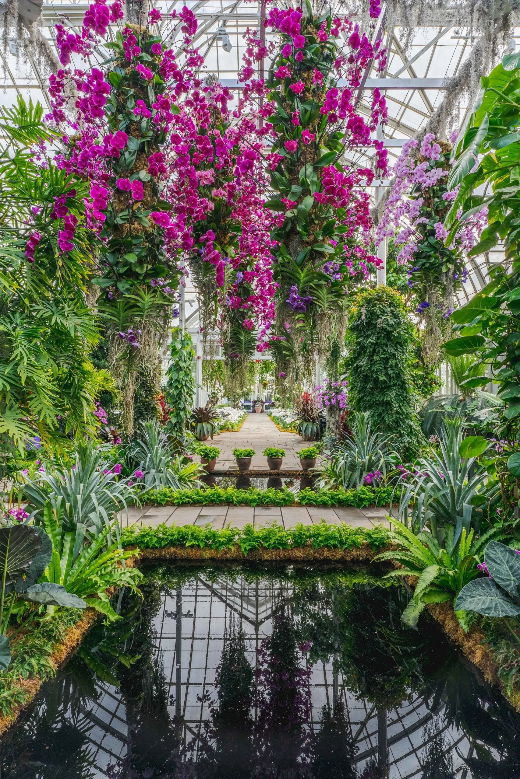 May Meetup: Botanical Garden Adventures!