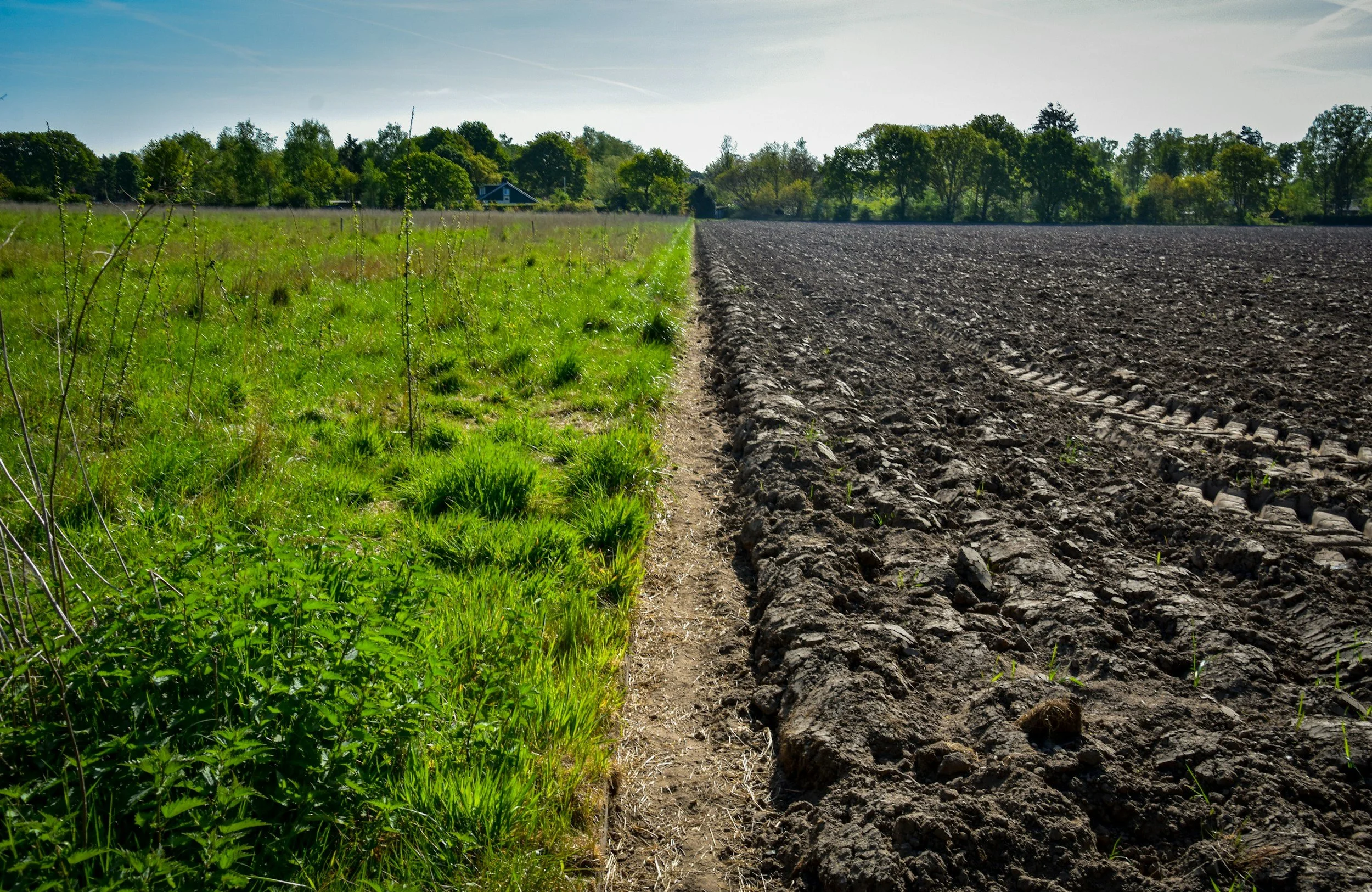 Regenerative Agriculture Economics: From the Ground Up