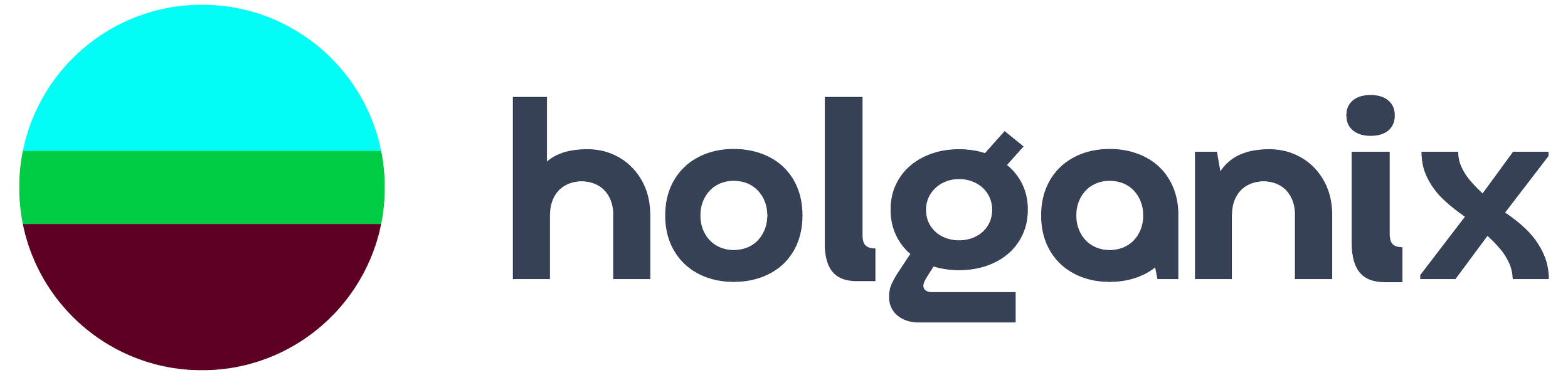 holganix-logo-horz-rgb-color-pos.png