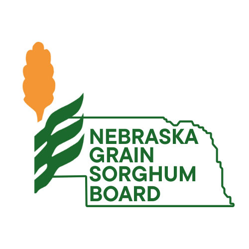 NGSB 2025.png