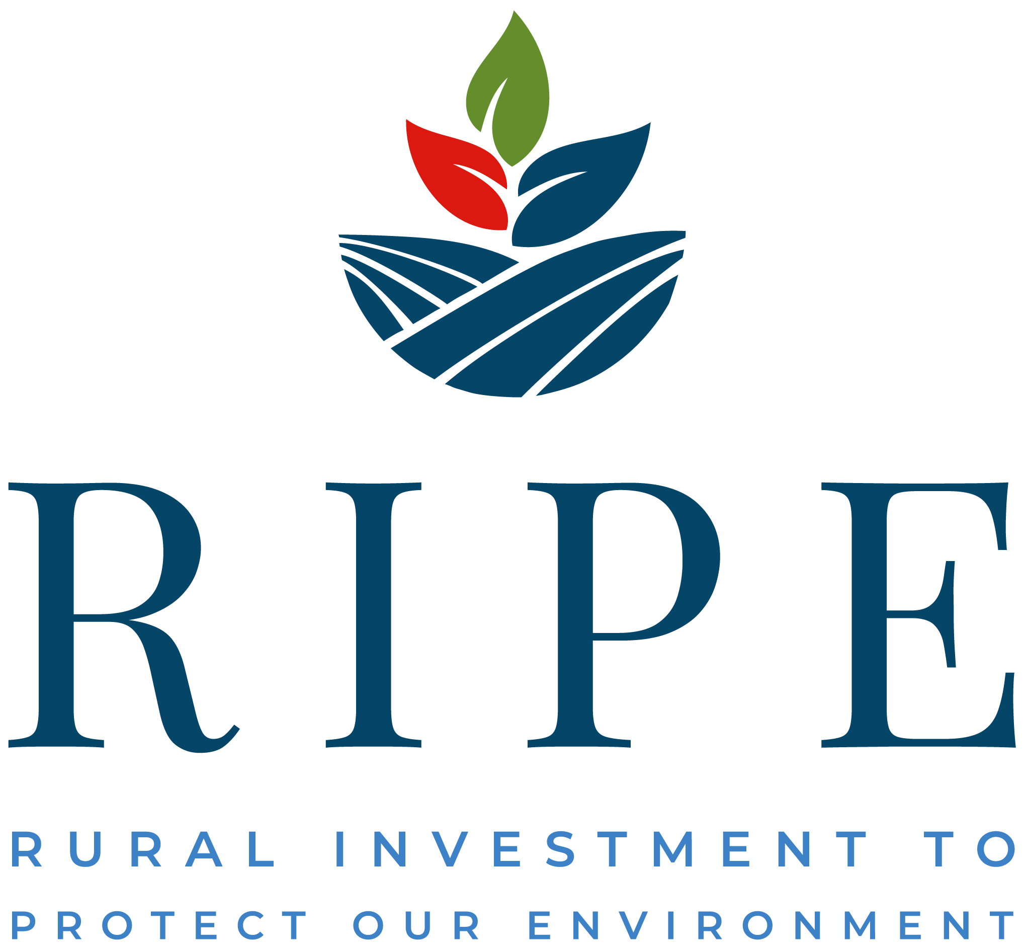 RIPE_secondary logo 1.png