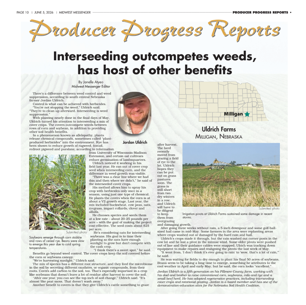 Interseeding outcompetes weeds, has host of other benefits